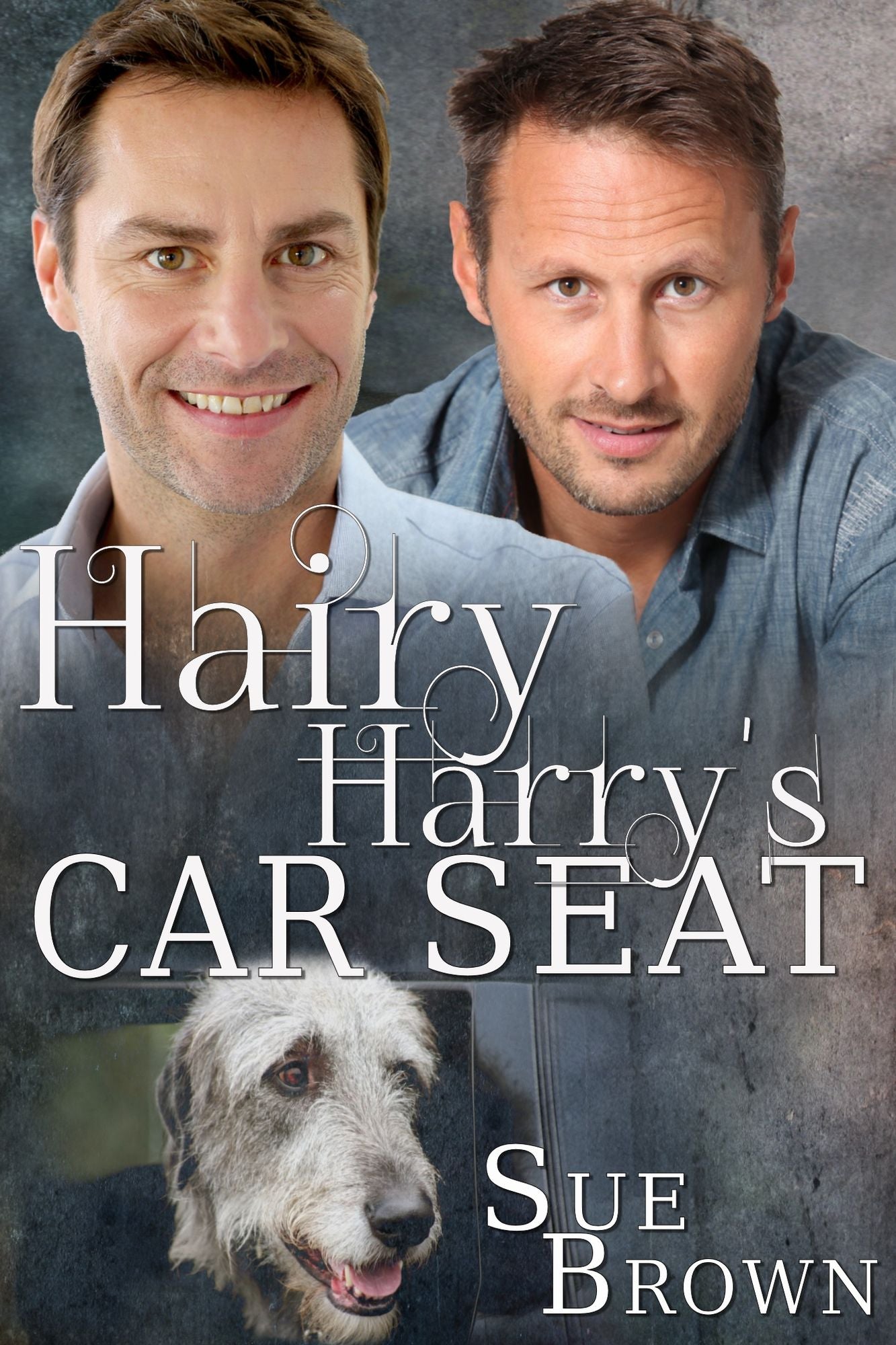 Hairy Harry's Car Seat (Lyon Road Vets #1)