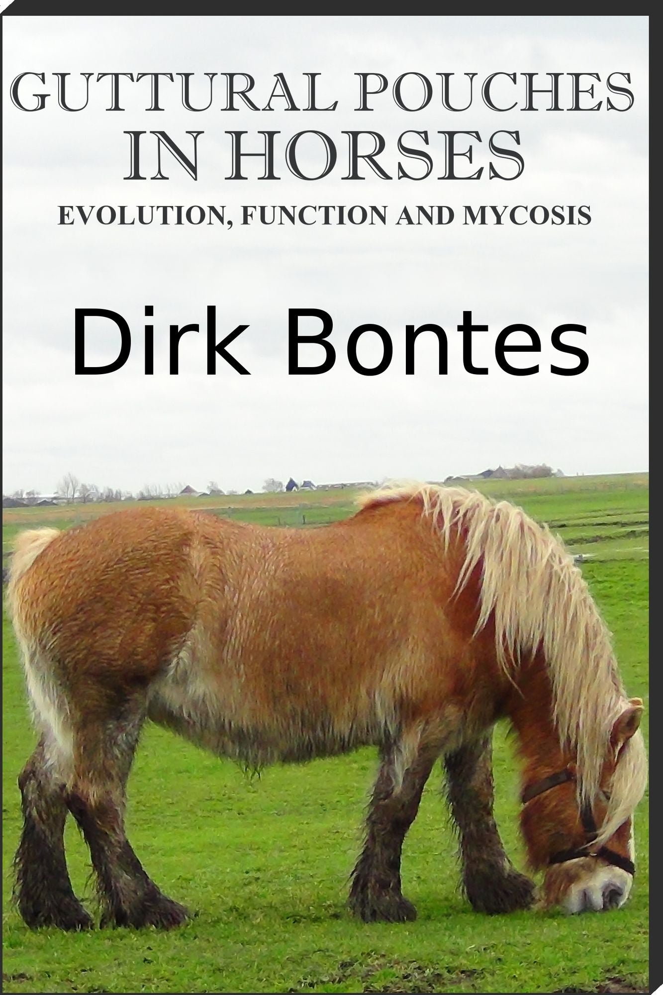 Guttural Pouches In Horses: Evolution, Function And Mycosis