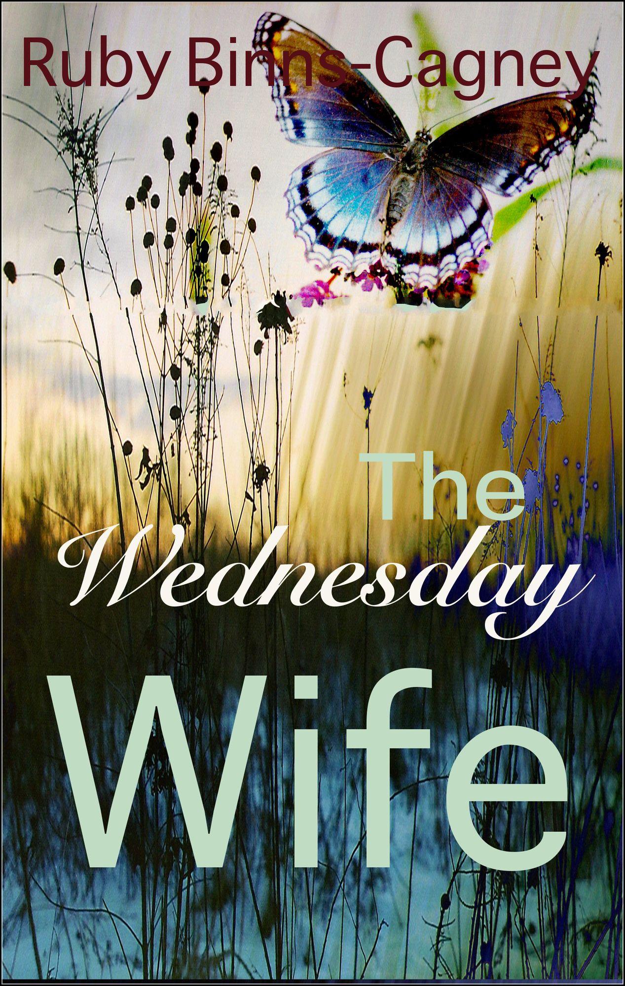 The Wednesday Wife