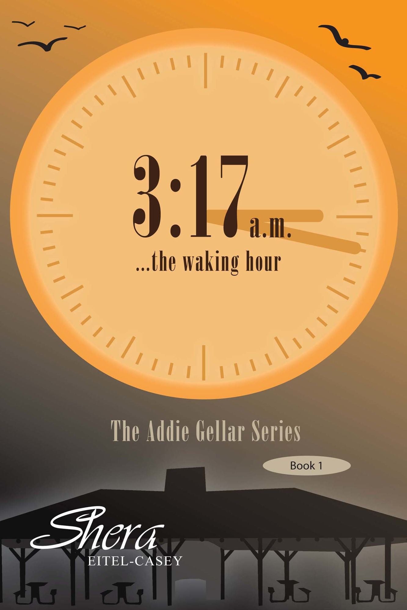 3:17a.m. ...The Waking Hour