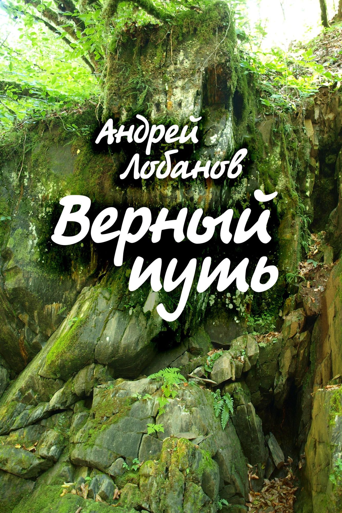 Vernyj put