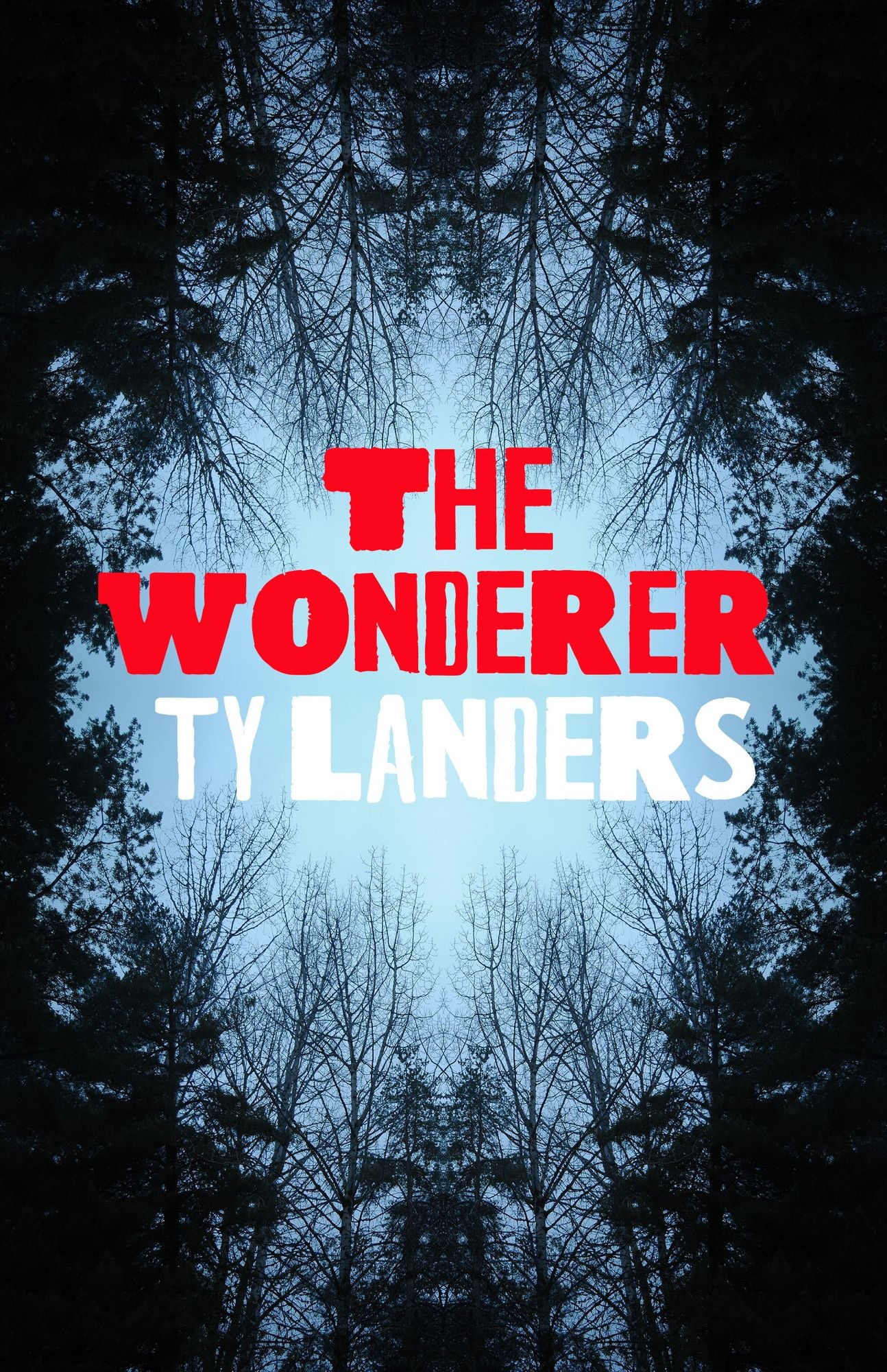 The Wonderer
