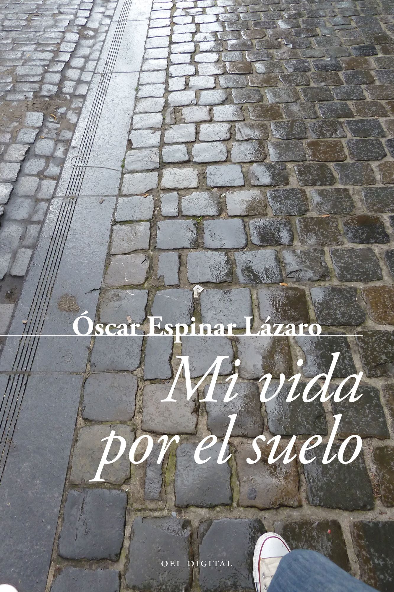 Mi vida por el suelo