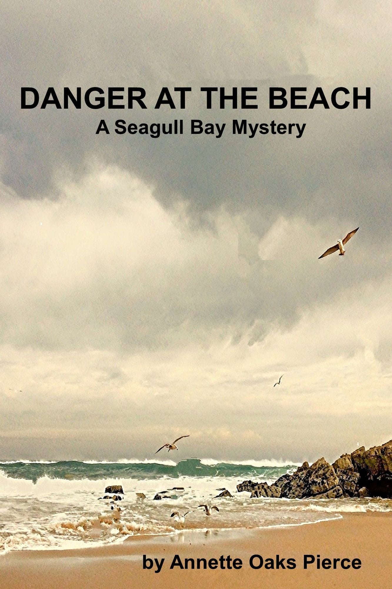 Danger At The Beach (A Seagull Bay Mystery)