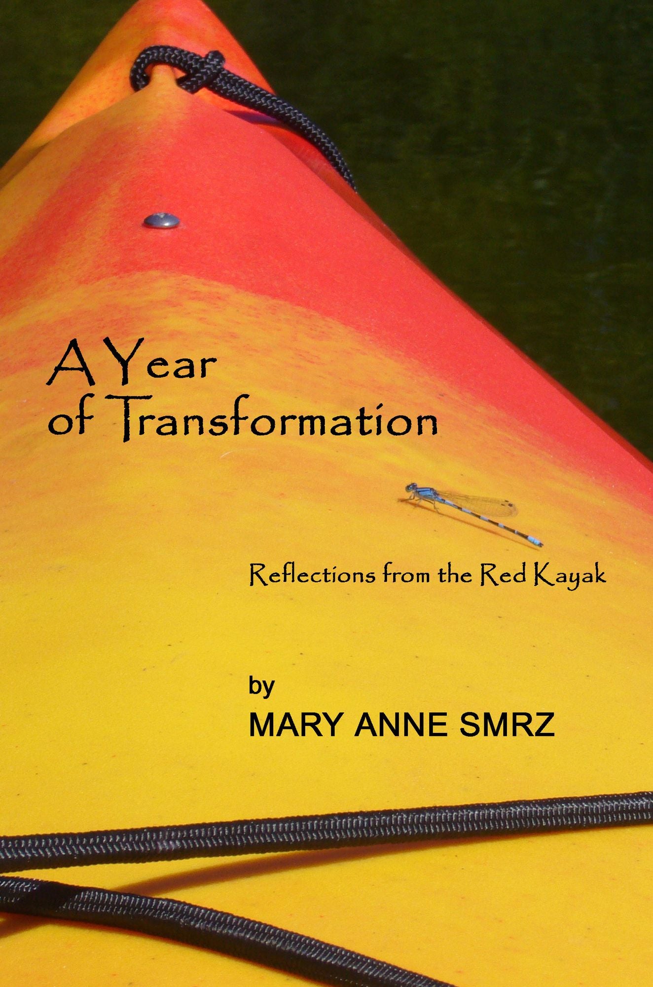 A Year of Transformation