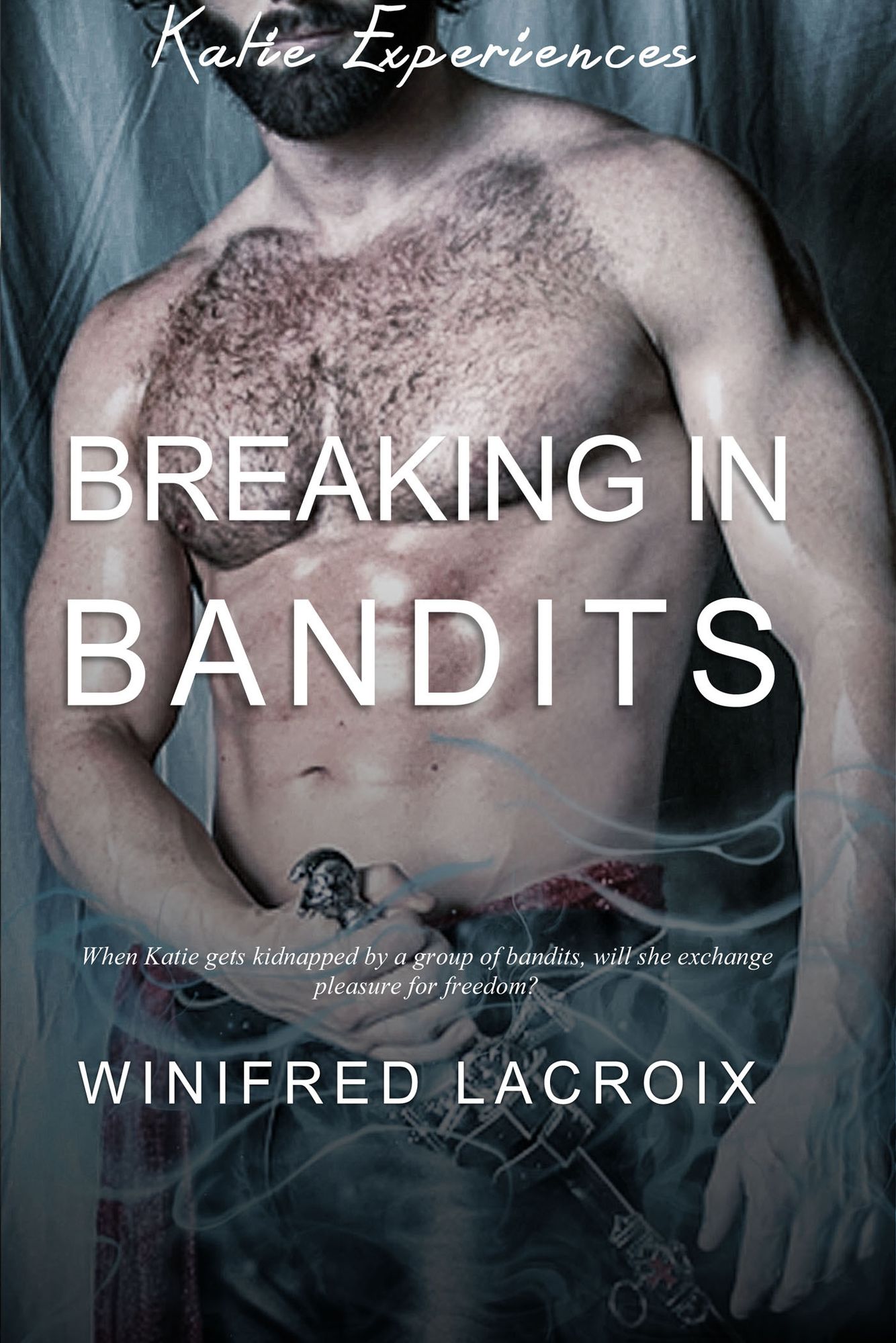 Katie Experiences #2: Breaking in Bandits (Gang Bang Erotica)