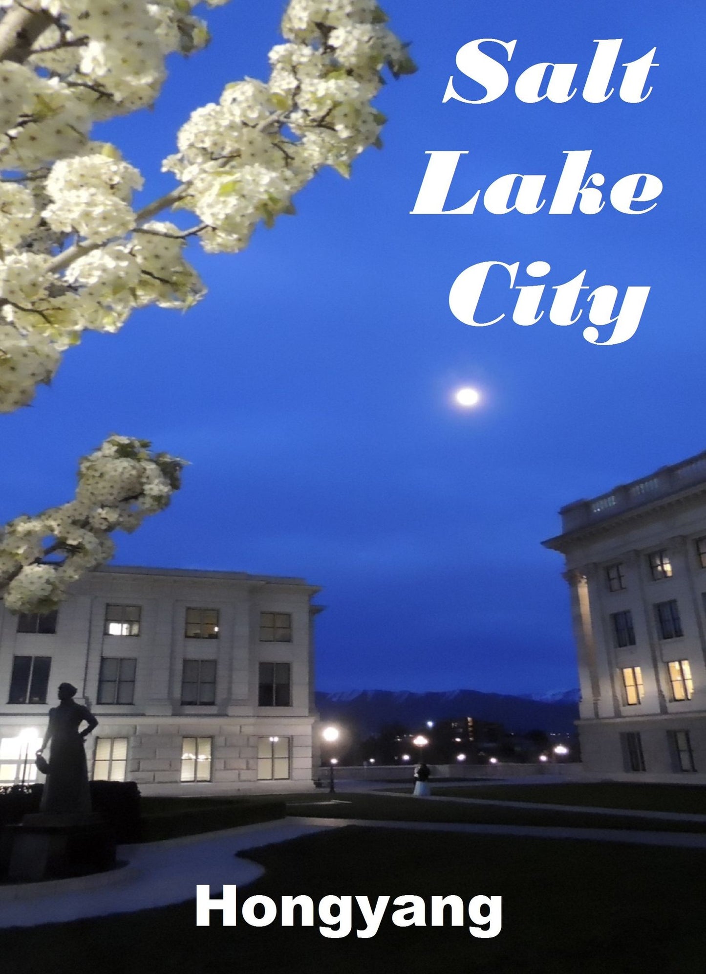 Salt Lake City in Utah yan hu cheng: Photo Book
