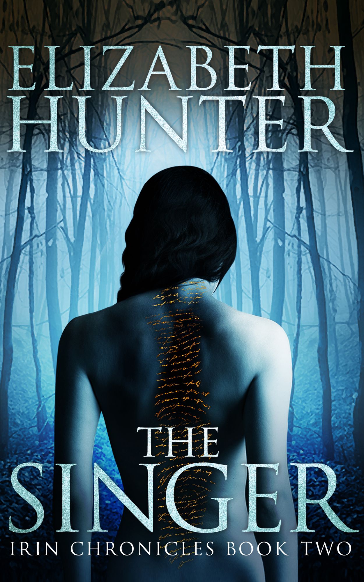 The Singer: Irin Chronicles Book Two