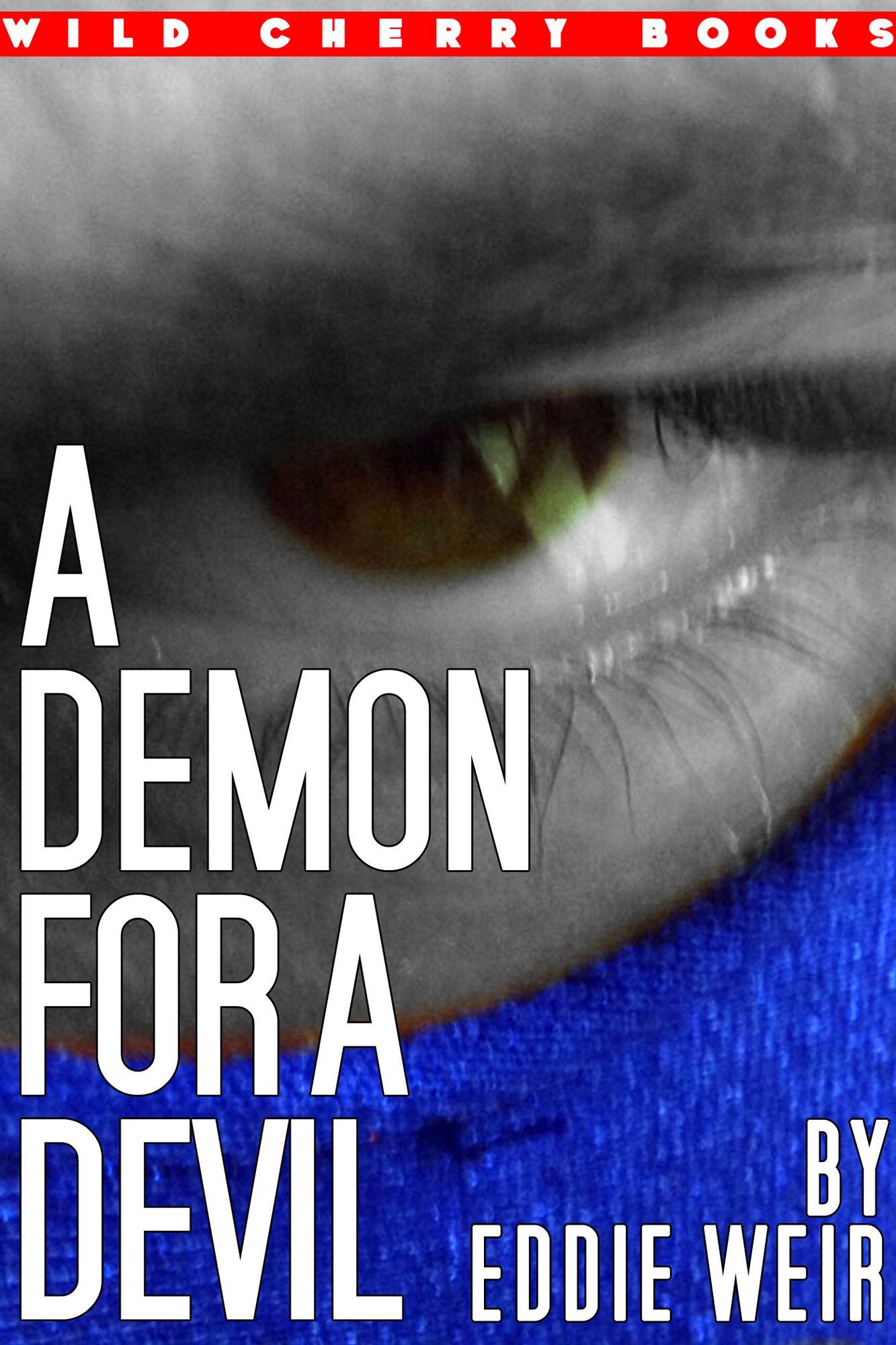 A Demon For A Devil (An Erotic Confession)