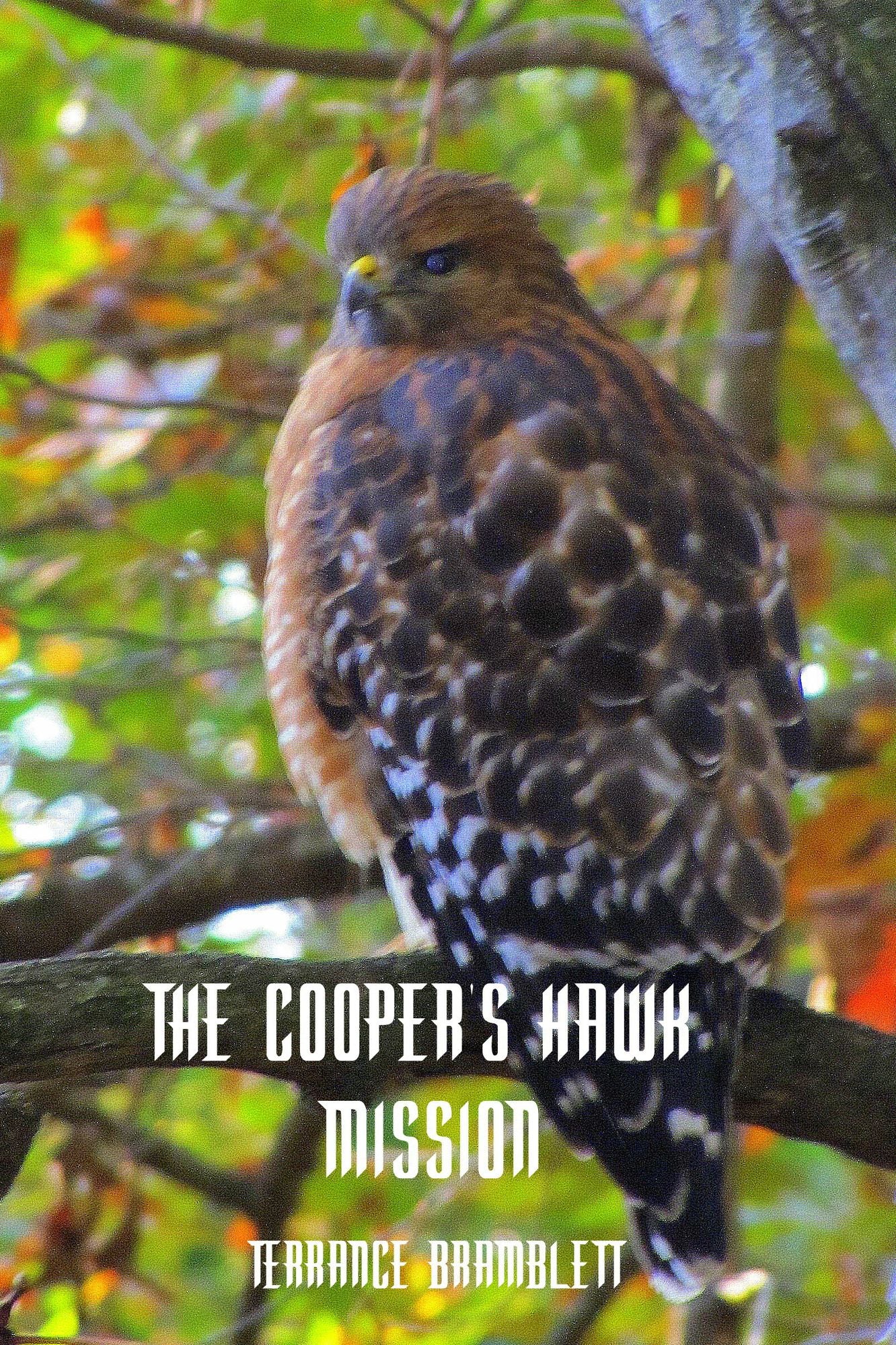 The Cooper's Hawk Mission
