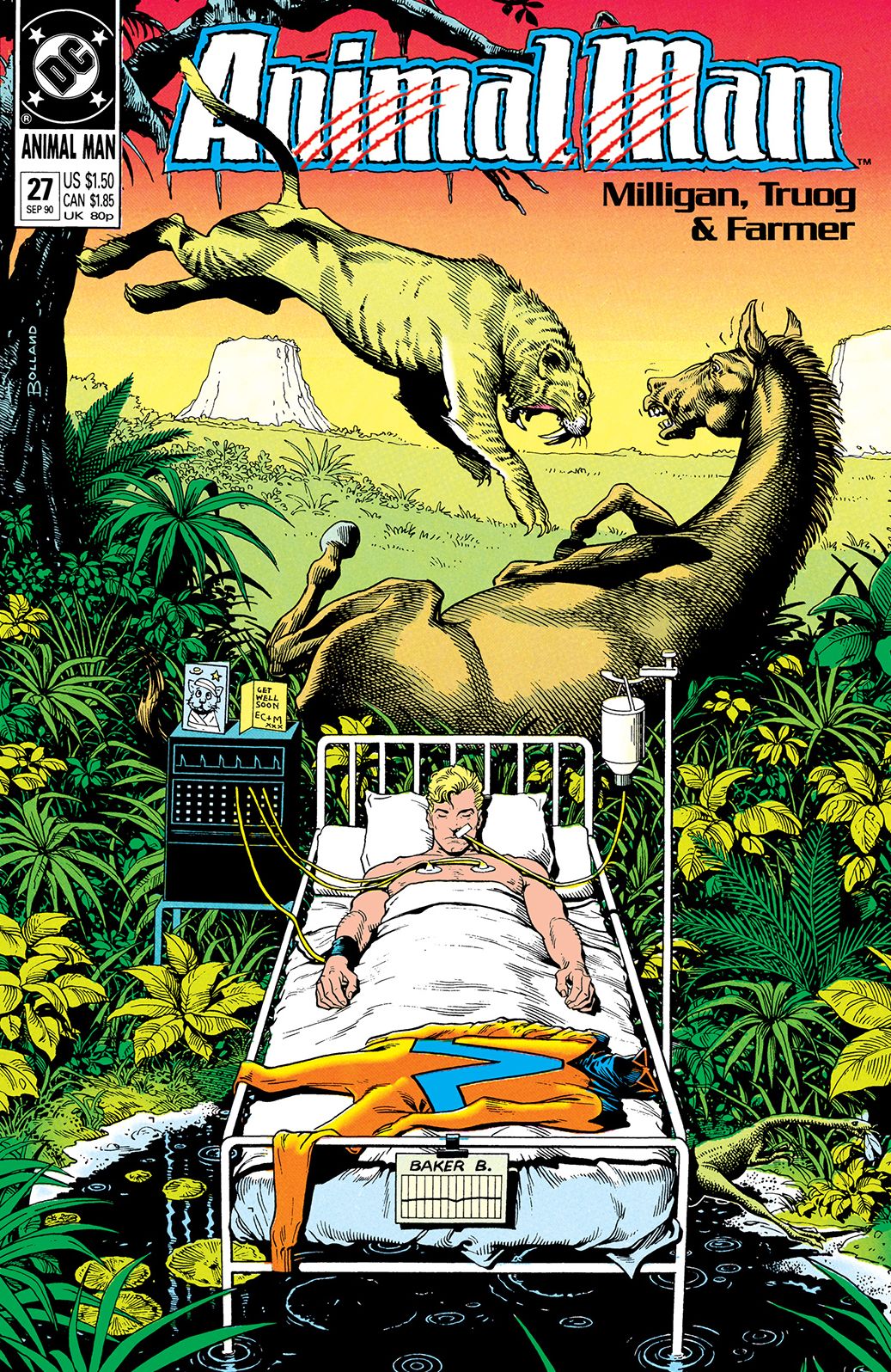 Animal Man (1988-1995) #27 (NOOK Comic with Zoom View)