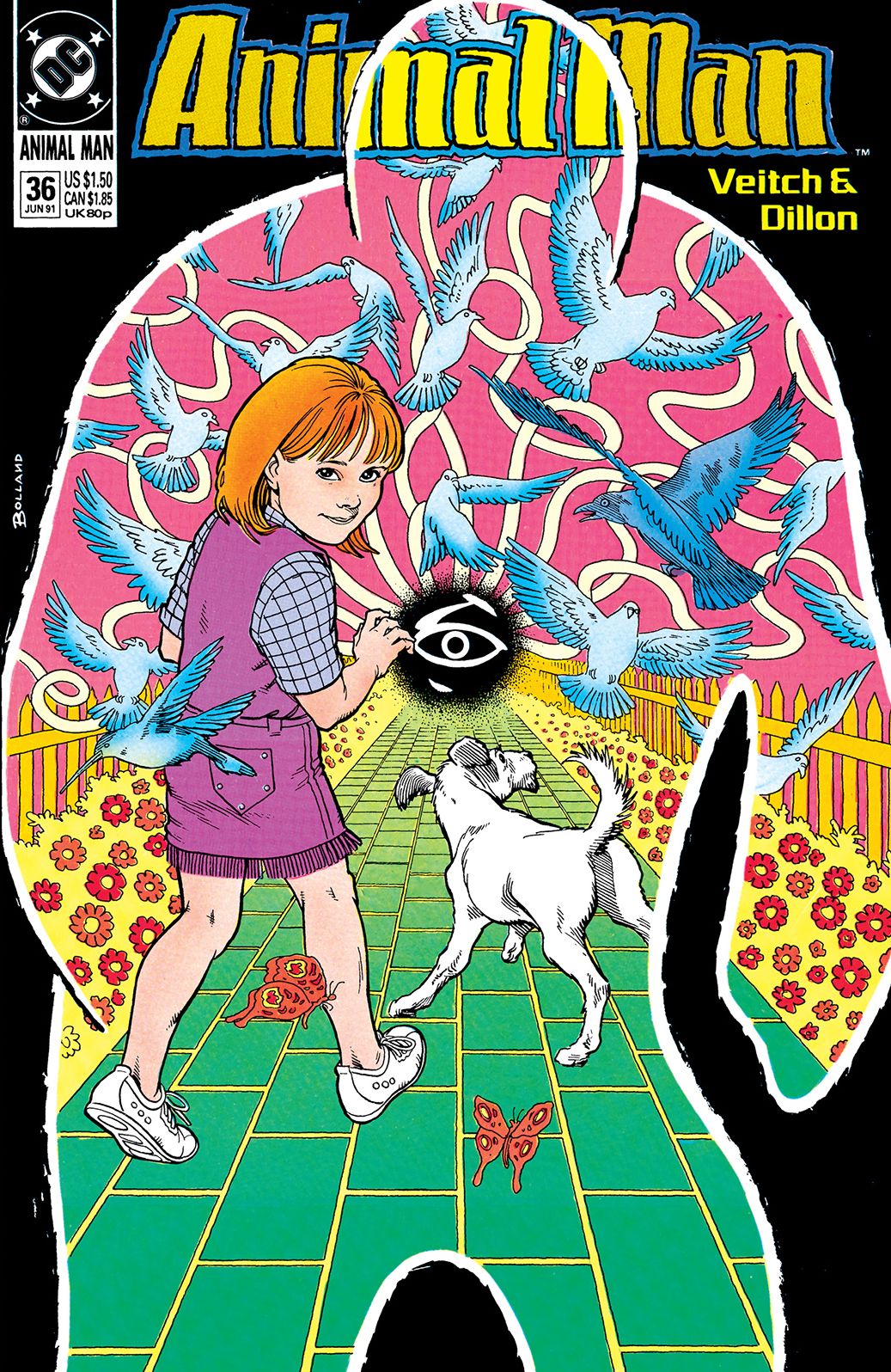 Animal Man (1988-1995) #36 (NOOK Comic with Zoom View)