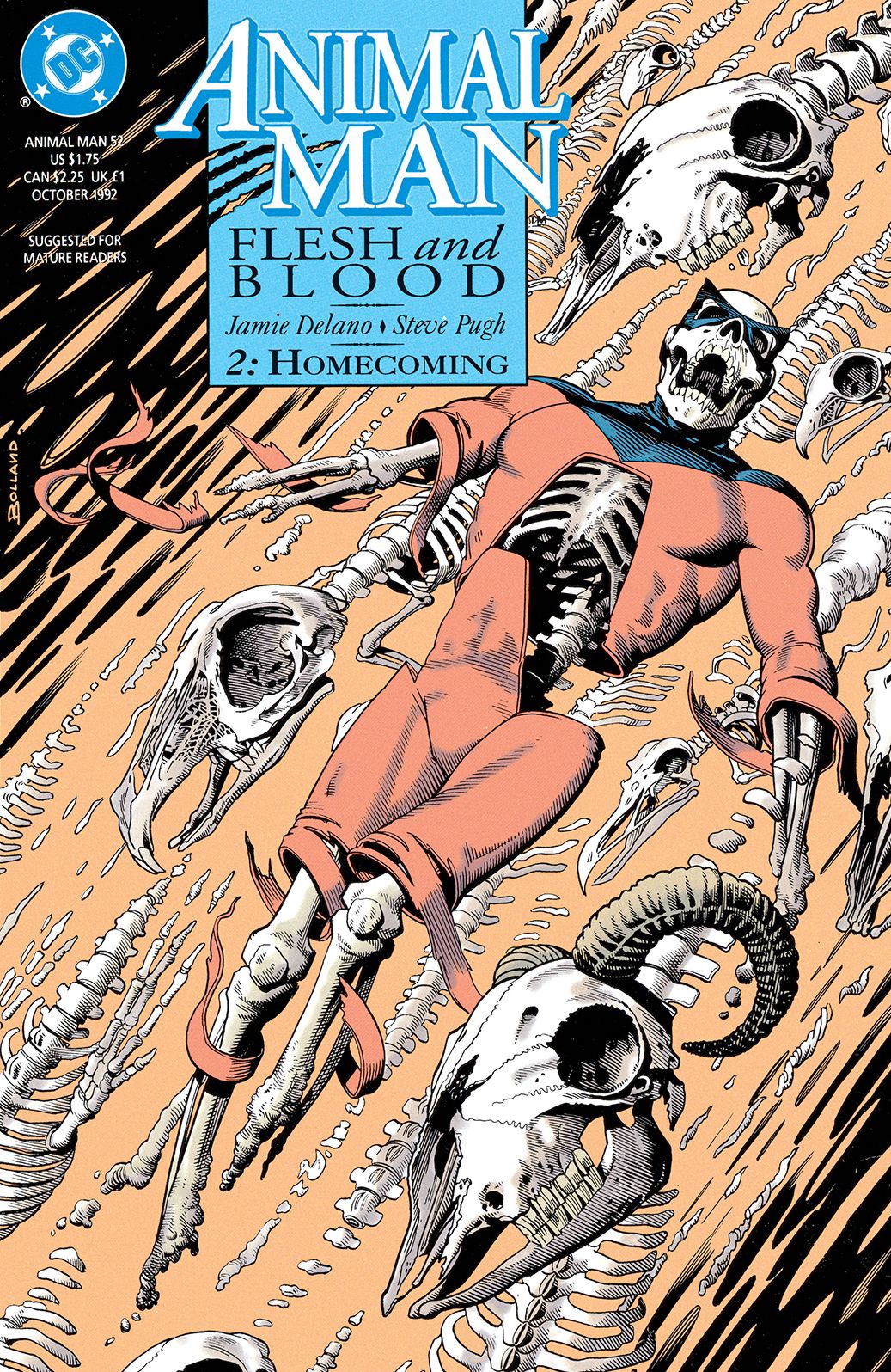 Animal Man (1988-1995) #52 (NOOK Comic with Zoom View)