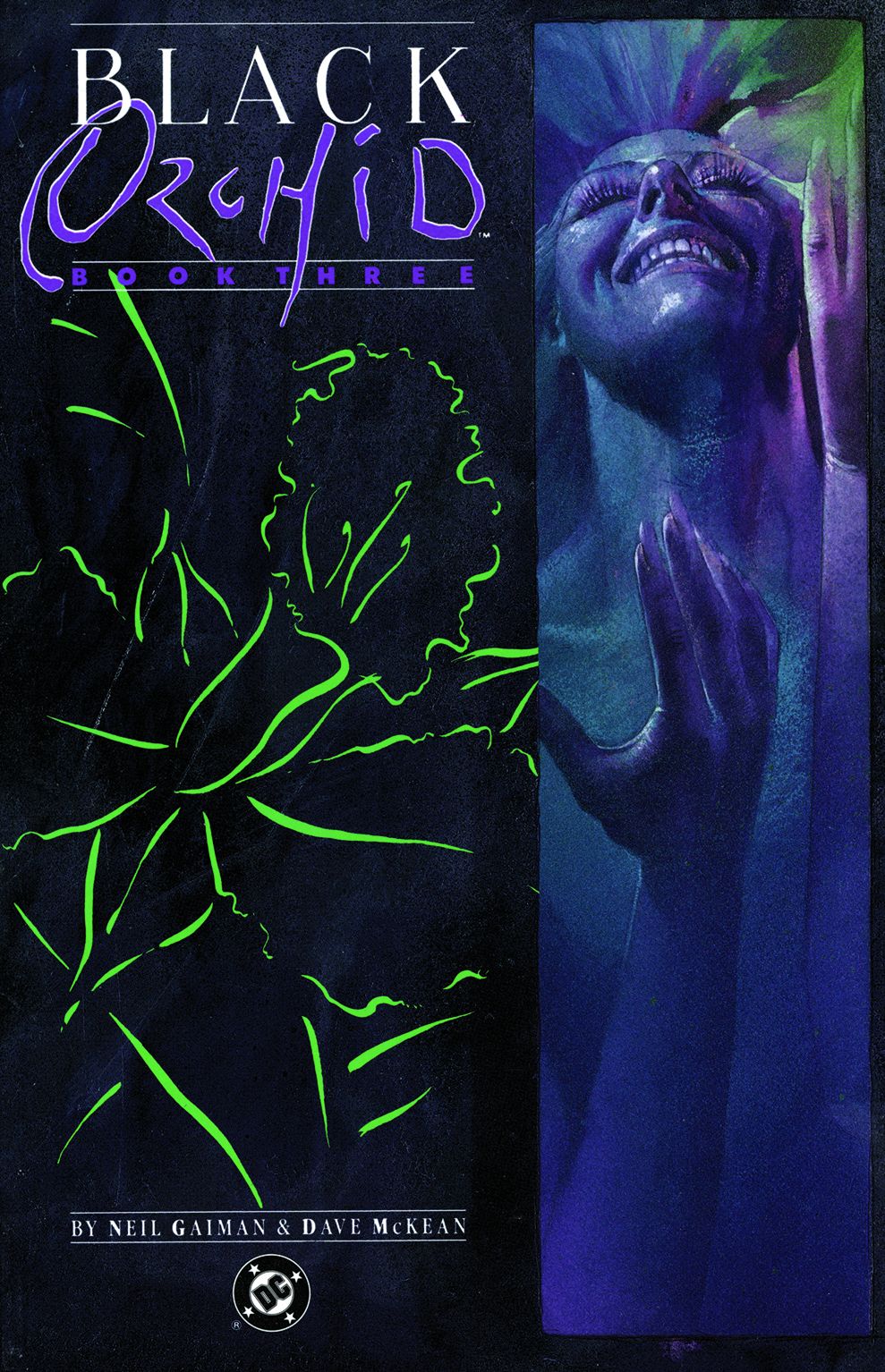 Black Orchid (1988-1989) #3 (NOOK Comic with Zoom View)