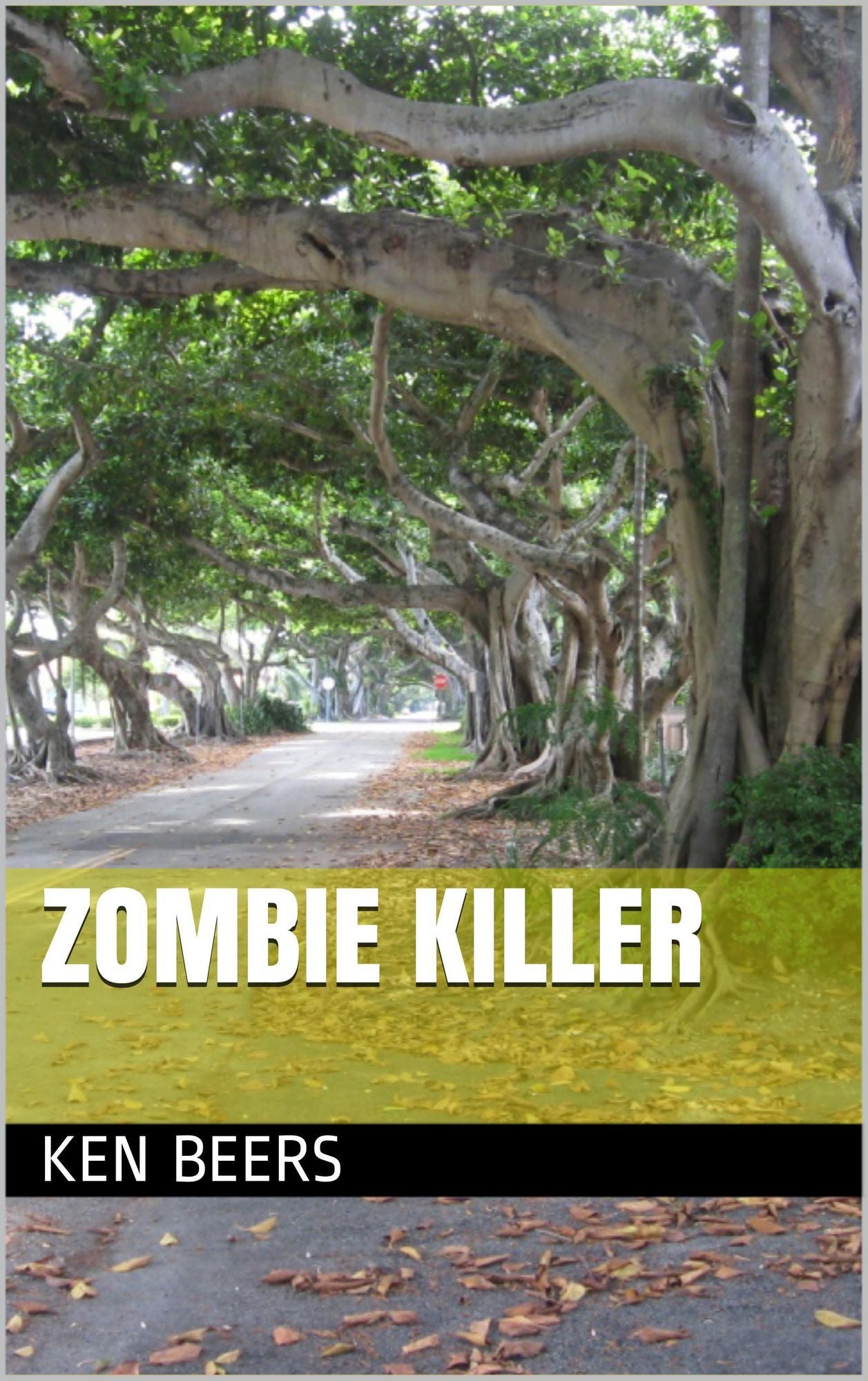 Zombie Killer