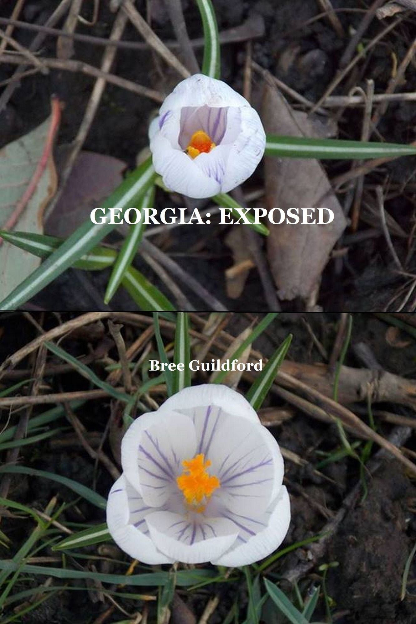 Georgia: Exposed