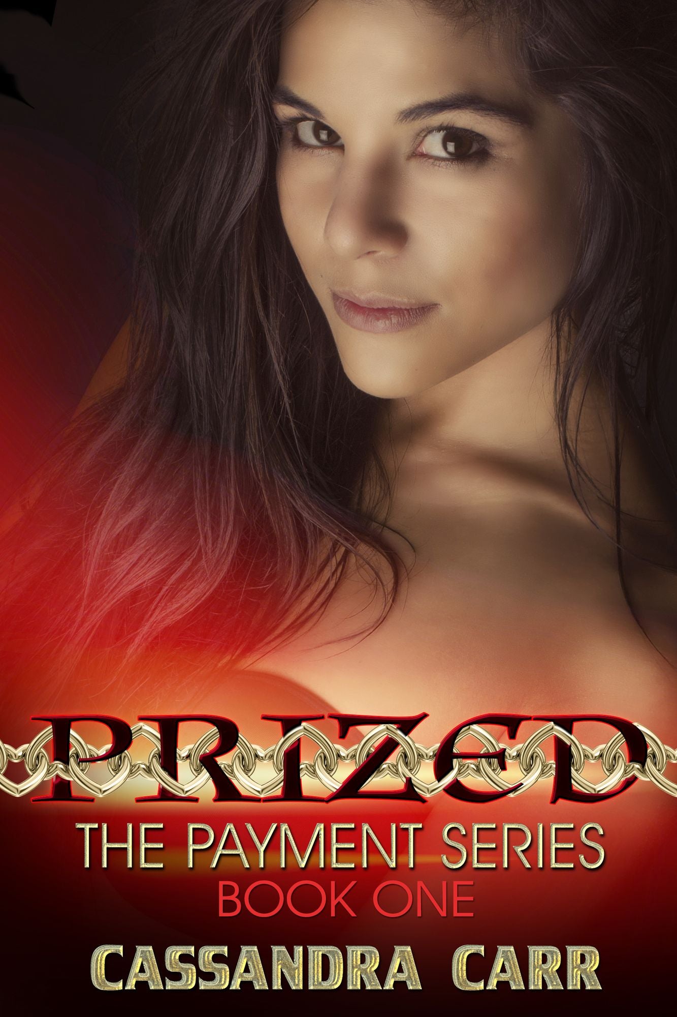 Prized, The Payment Series book 1