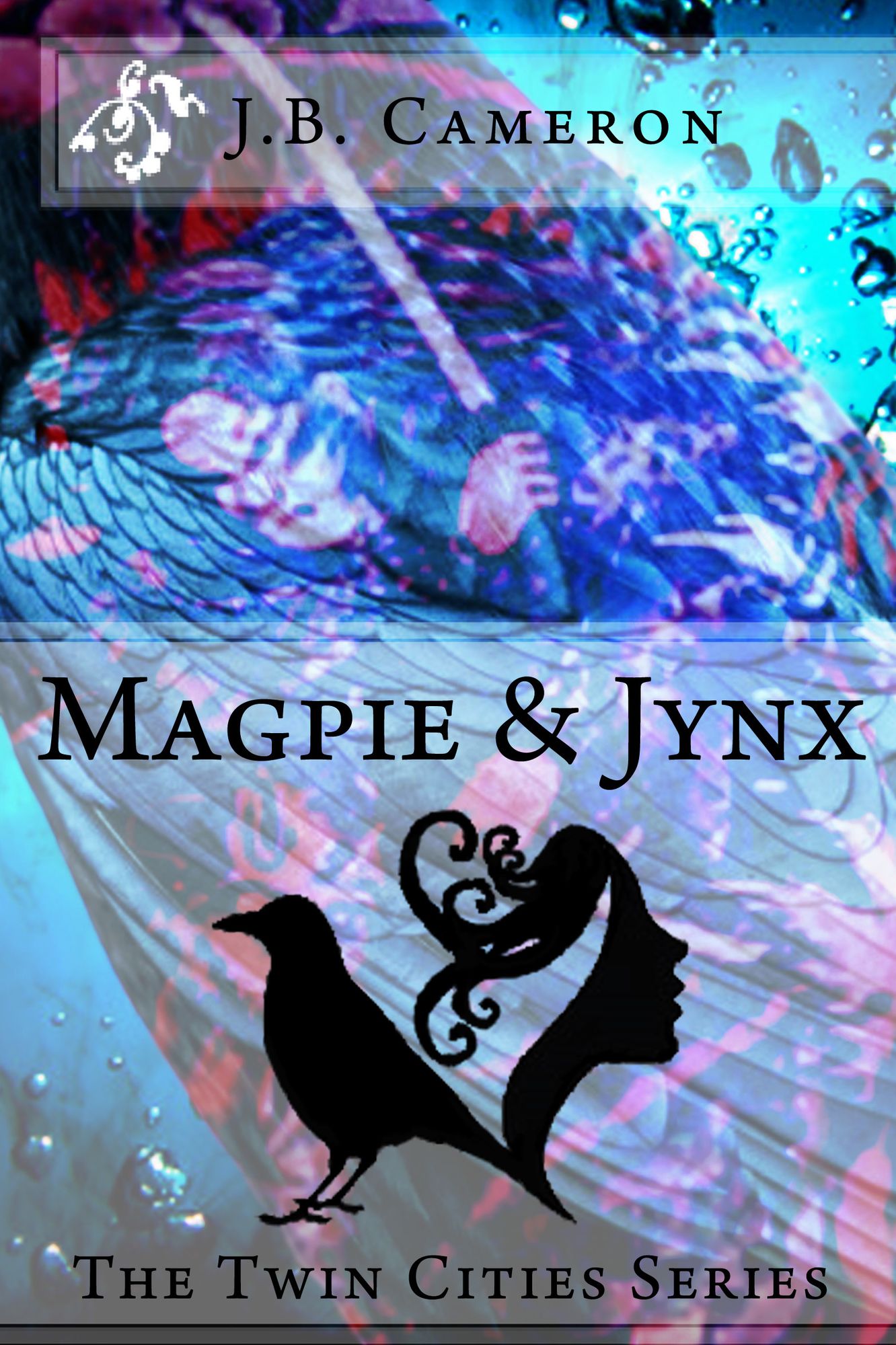 Magpie & Jynx (The Twin Cities Series)