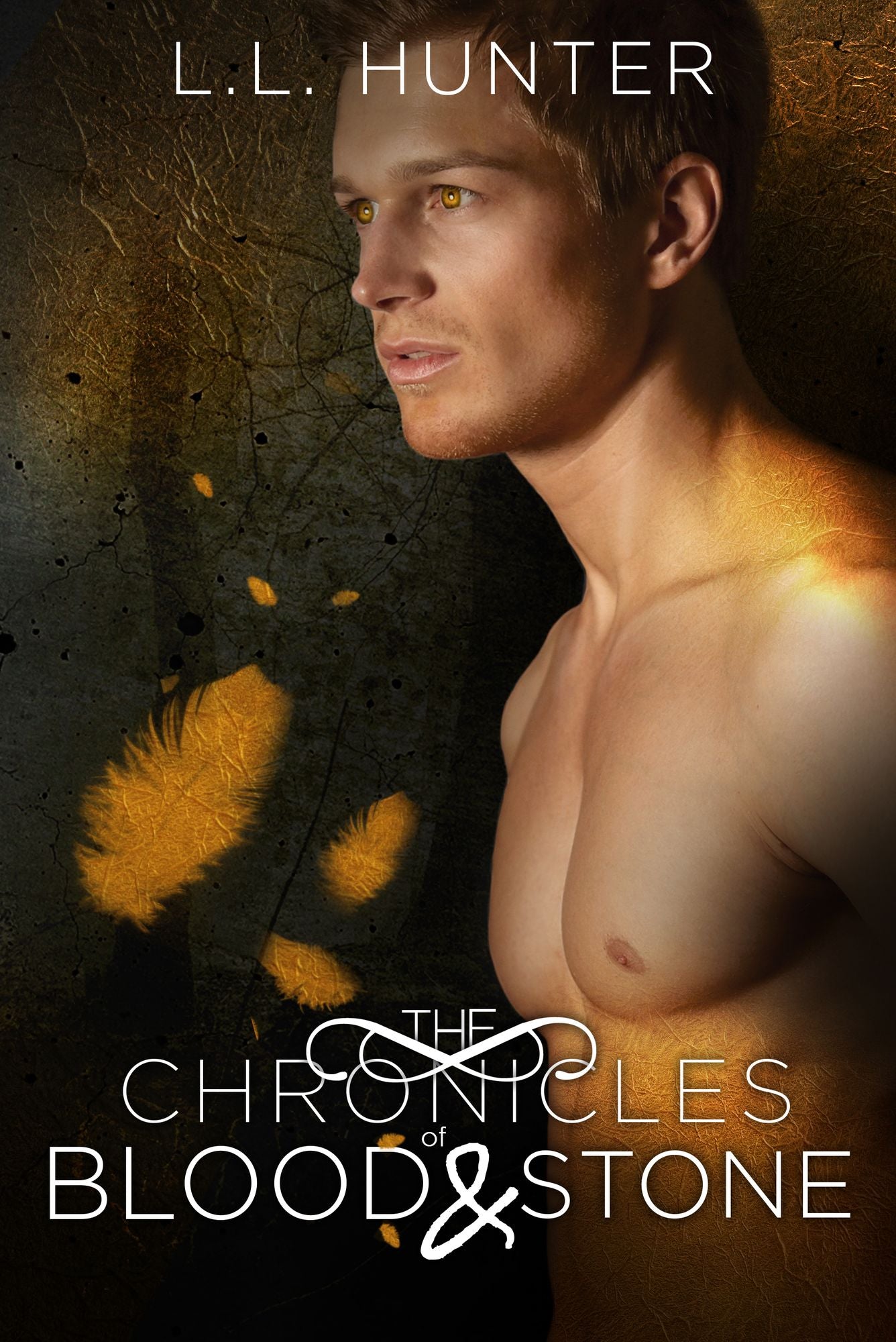 The Chronicles of Blood and Stone