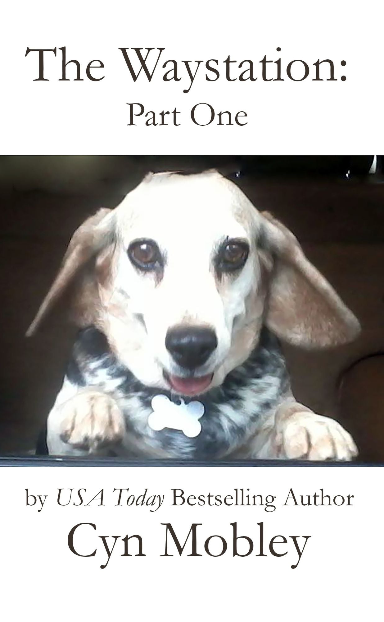 The Waystation: Book One