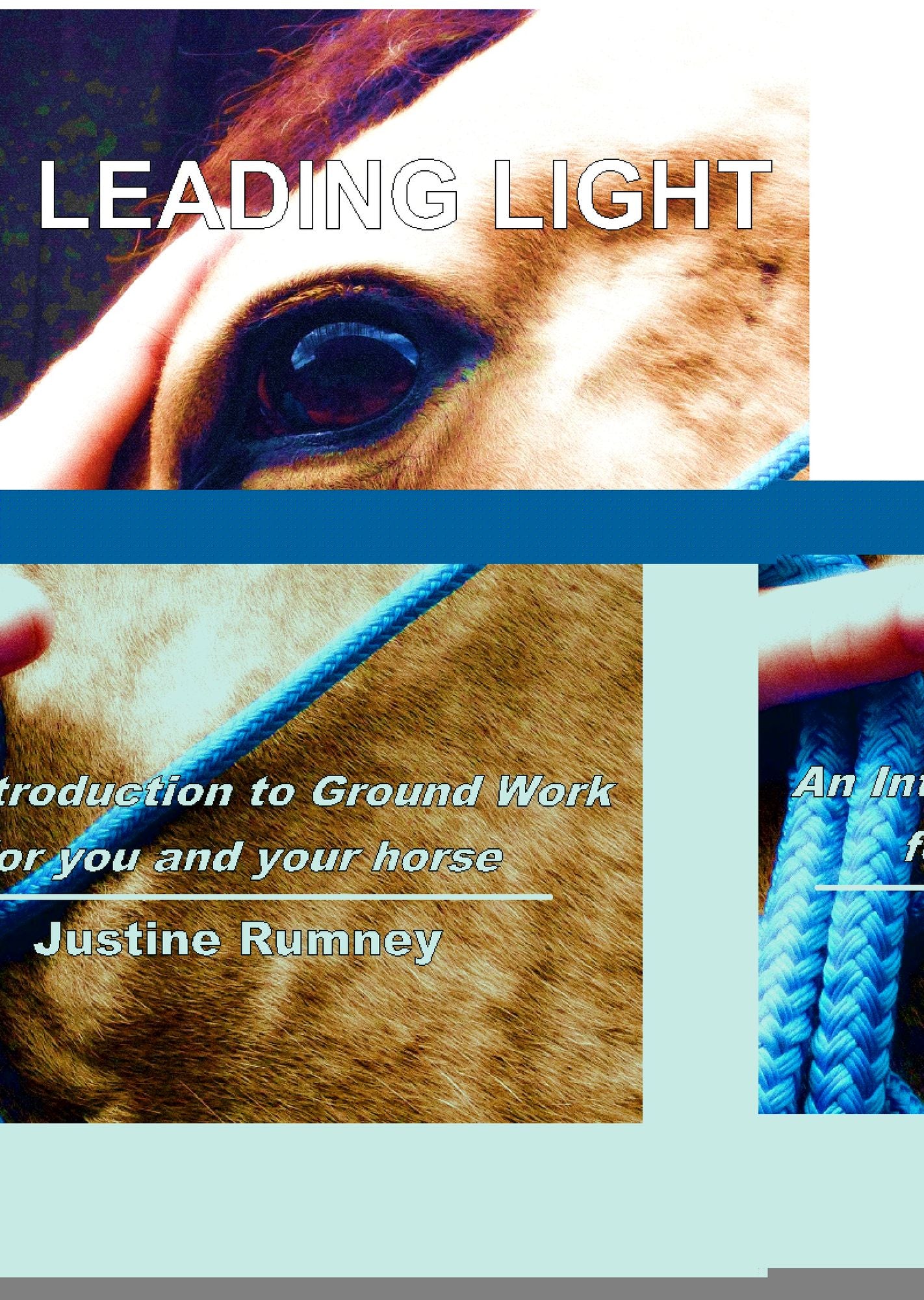 Leading Light; an Introduction to Ground Work for You and Your Horse
