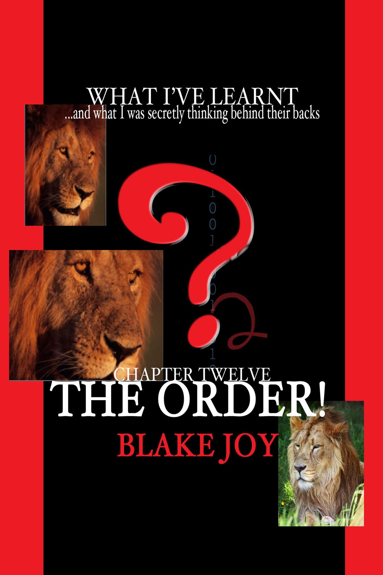 Chapter Twelve: The Order!