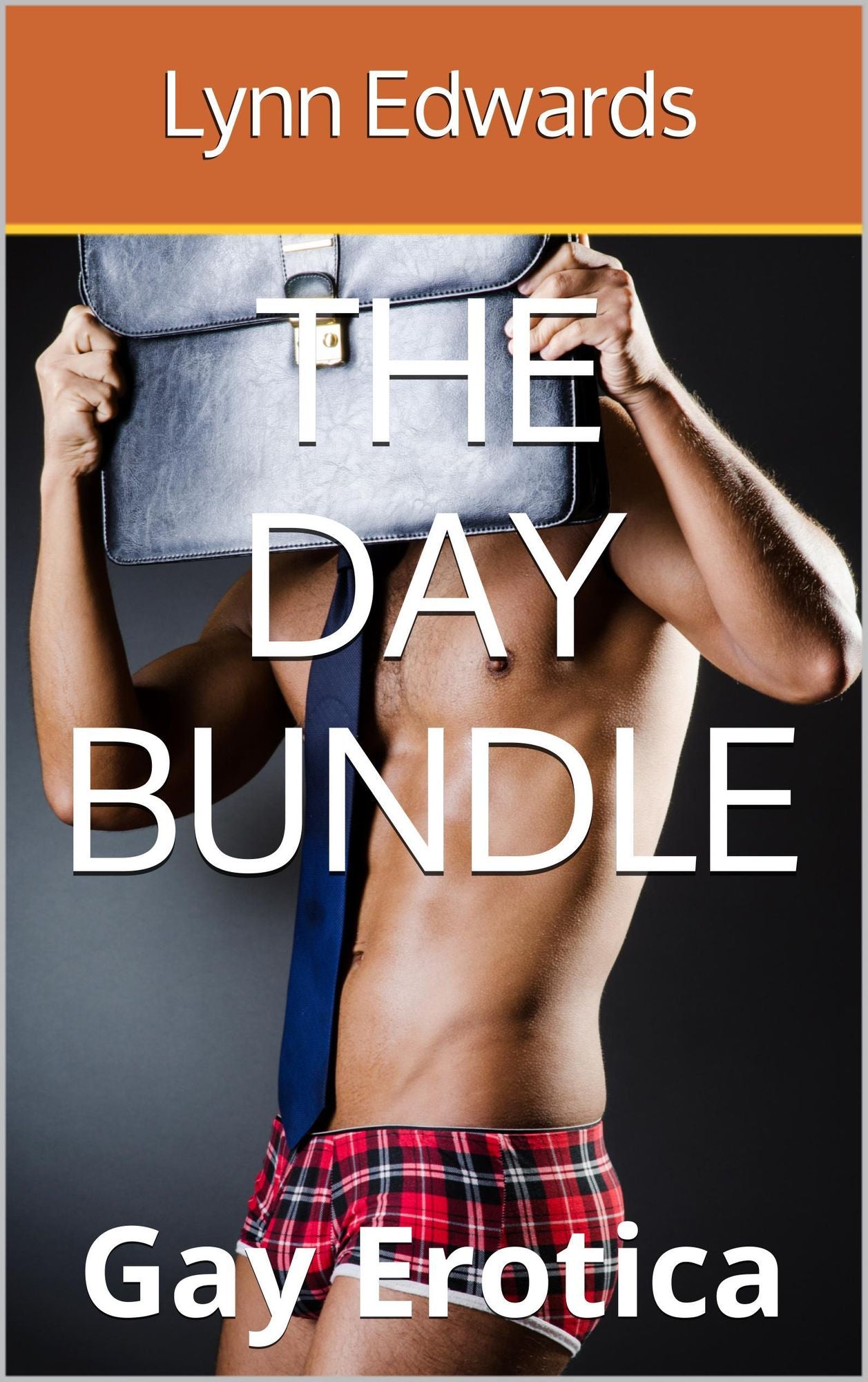 The Day Bundle: Gay Erotica