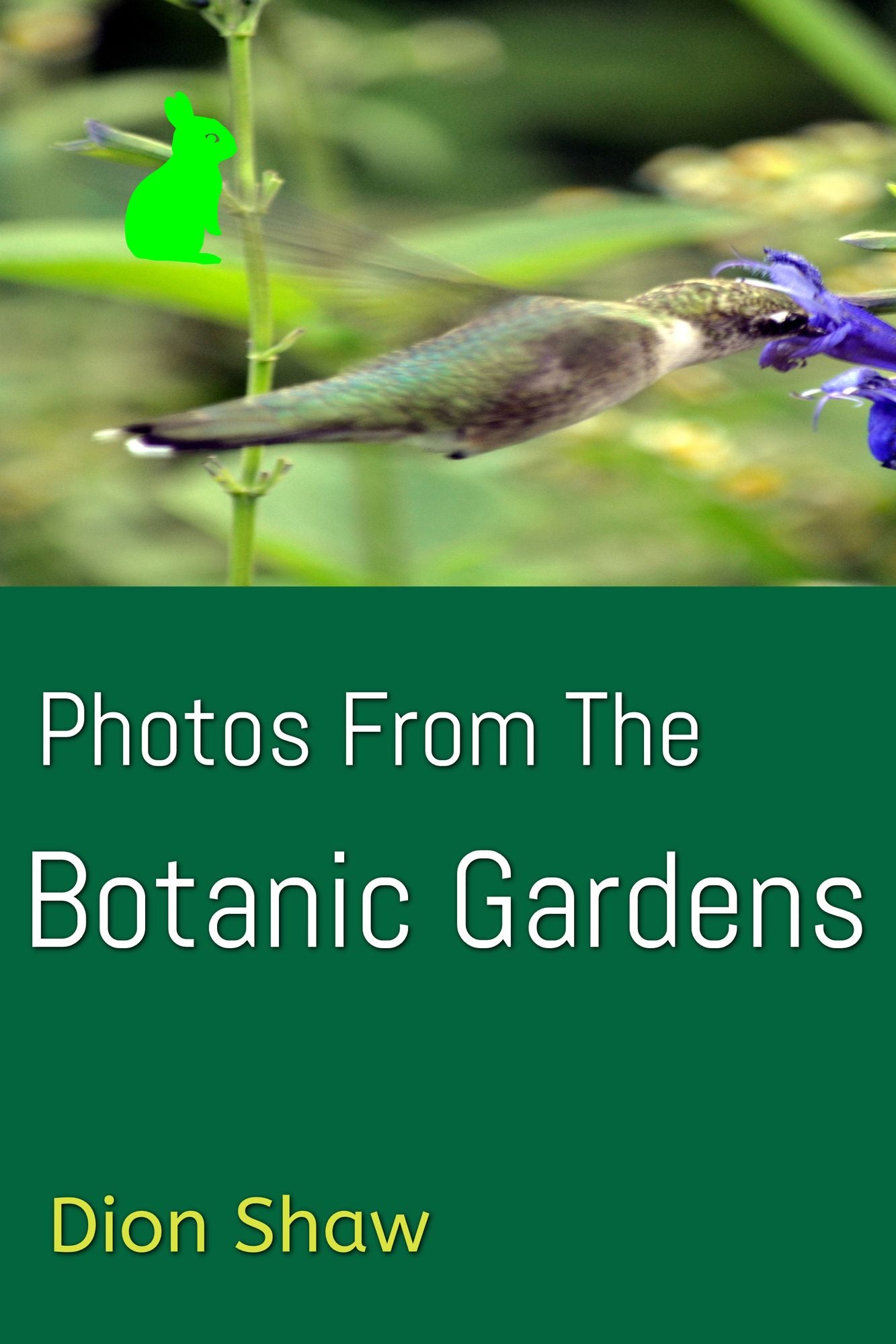 Photos From The Botanic Gardens