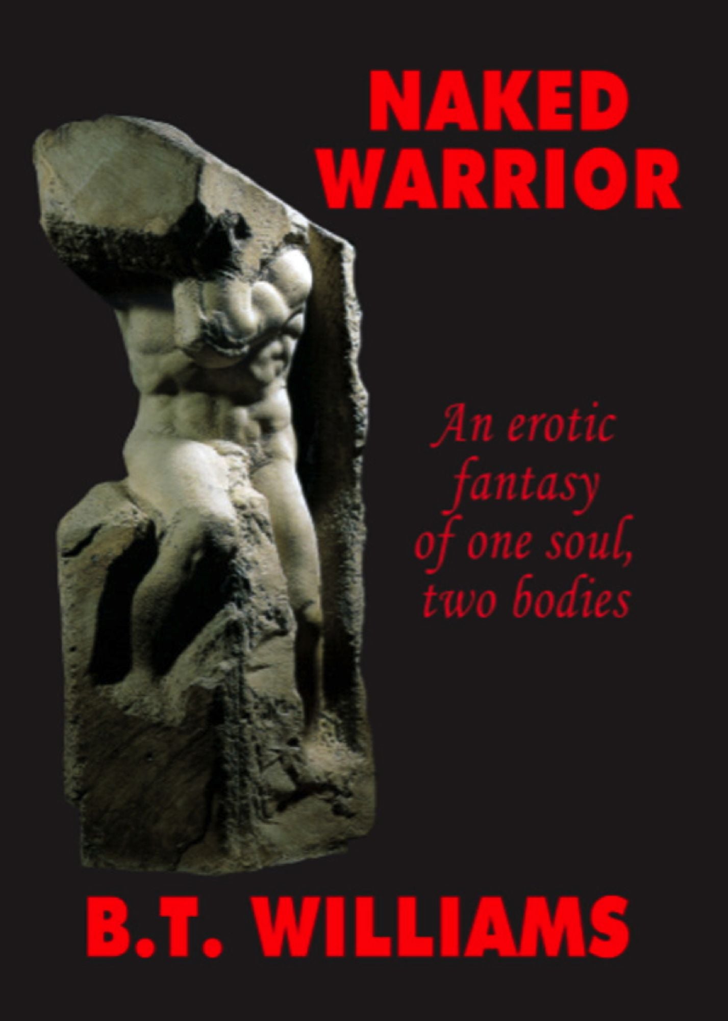 Naked Warrior- An Erotic Fantasy of One Soul, Two Bodies