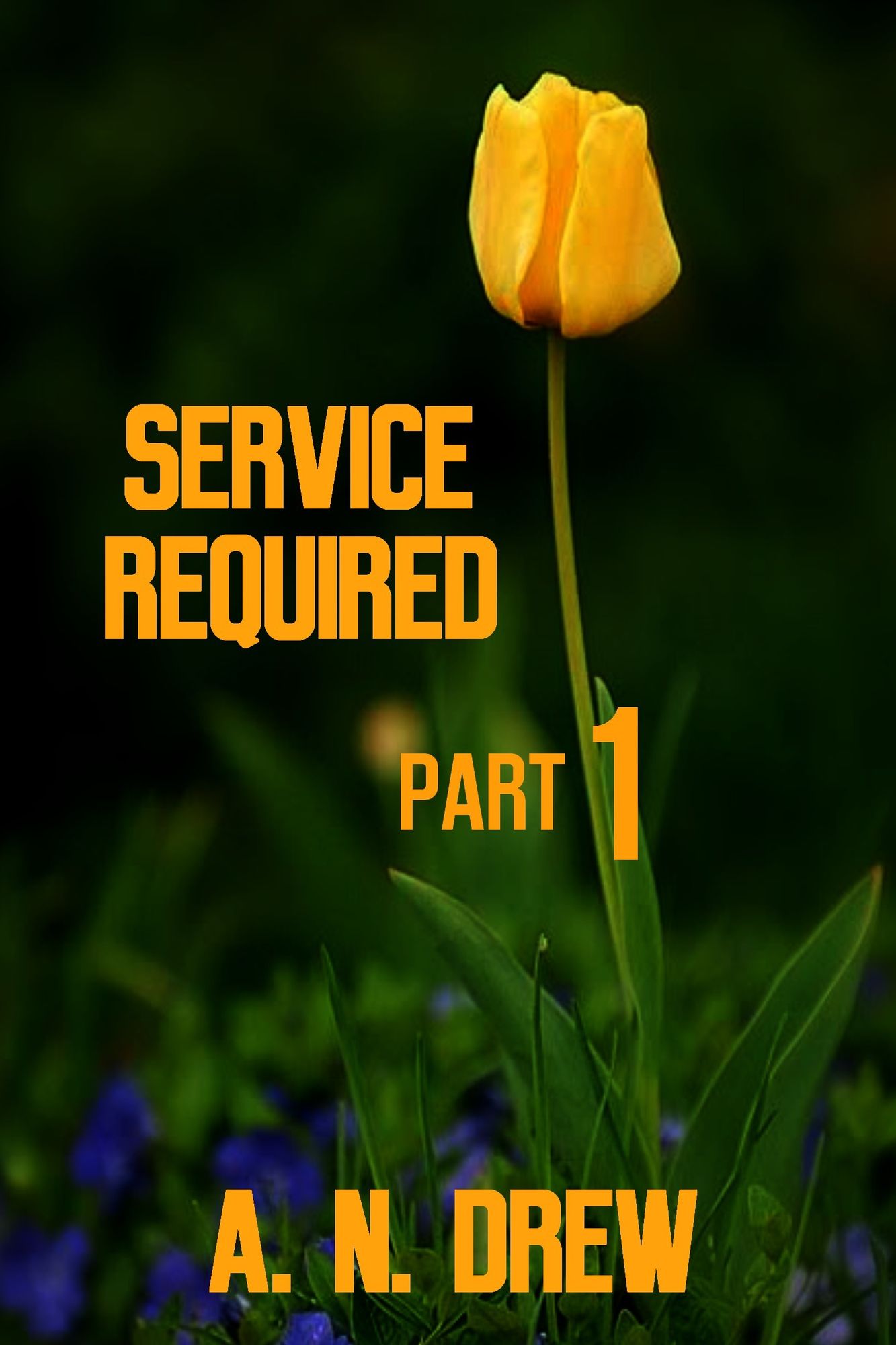 Service Required Part 1