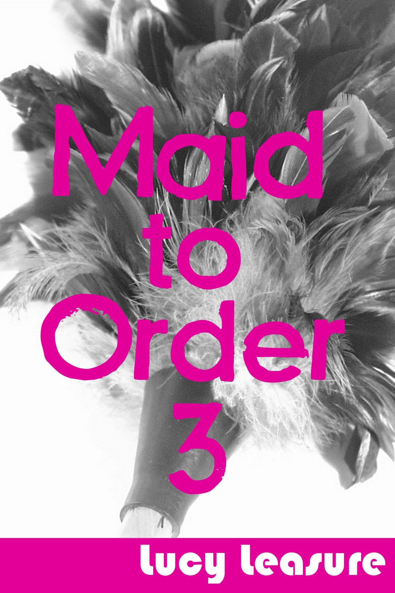 Maid to Order 3