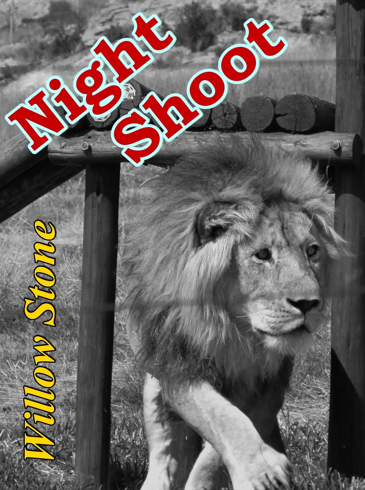Night Shoot