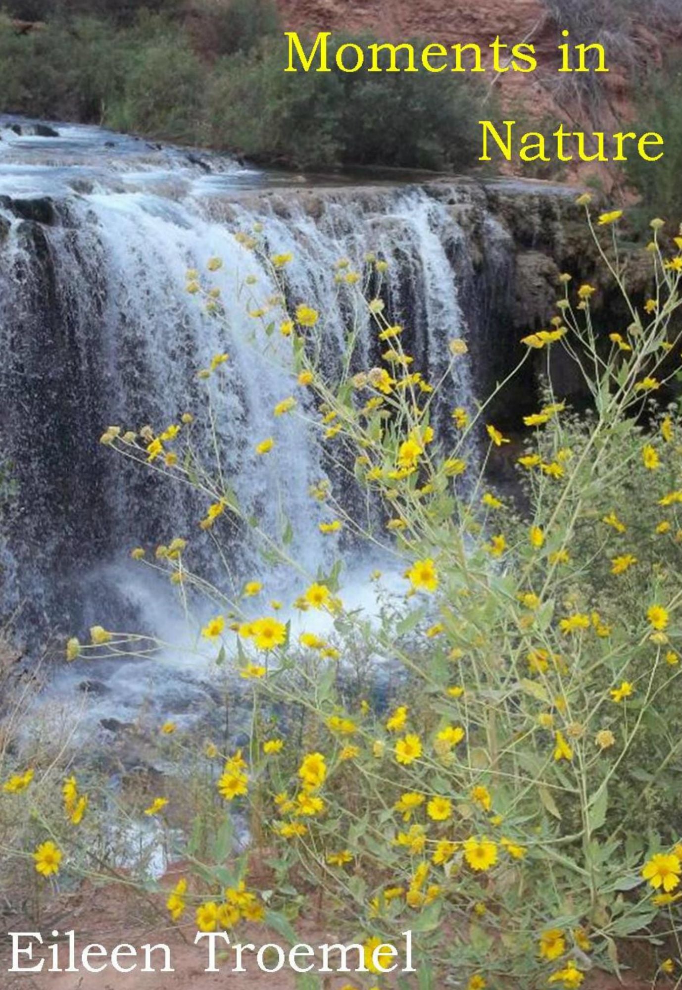 Moments in Nature