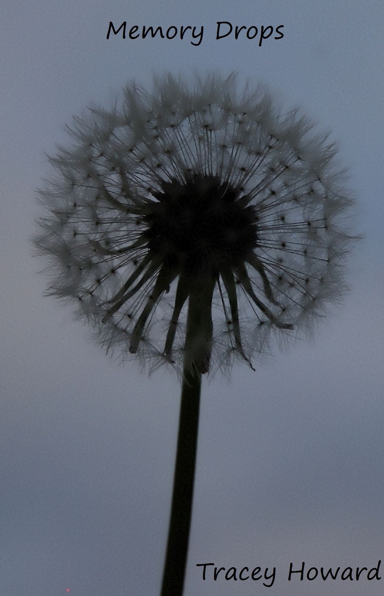 Memory Drops