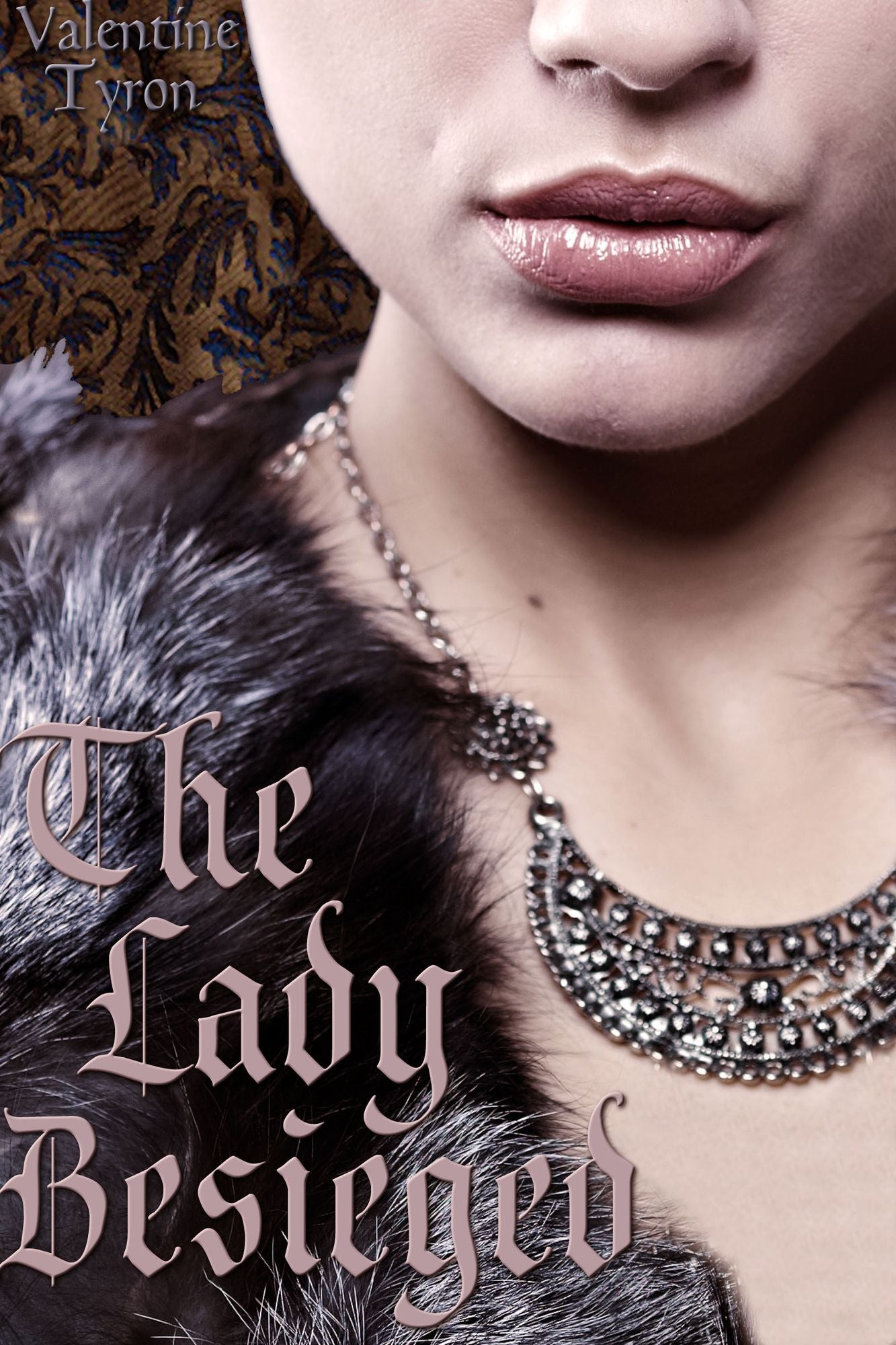 The Lady Besieged: A Medieval Erotica
