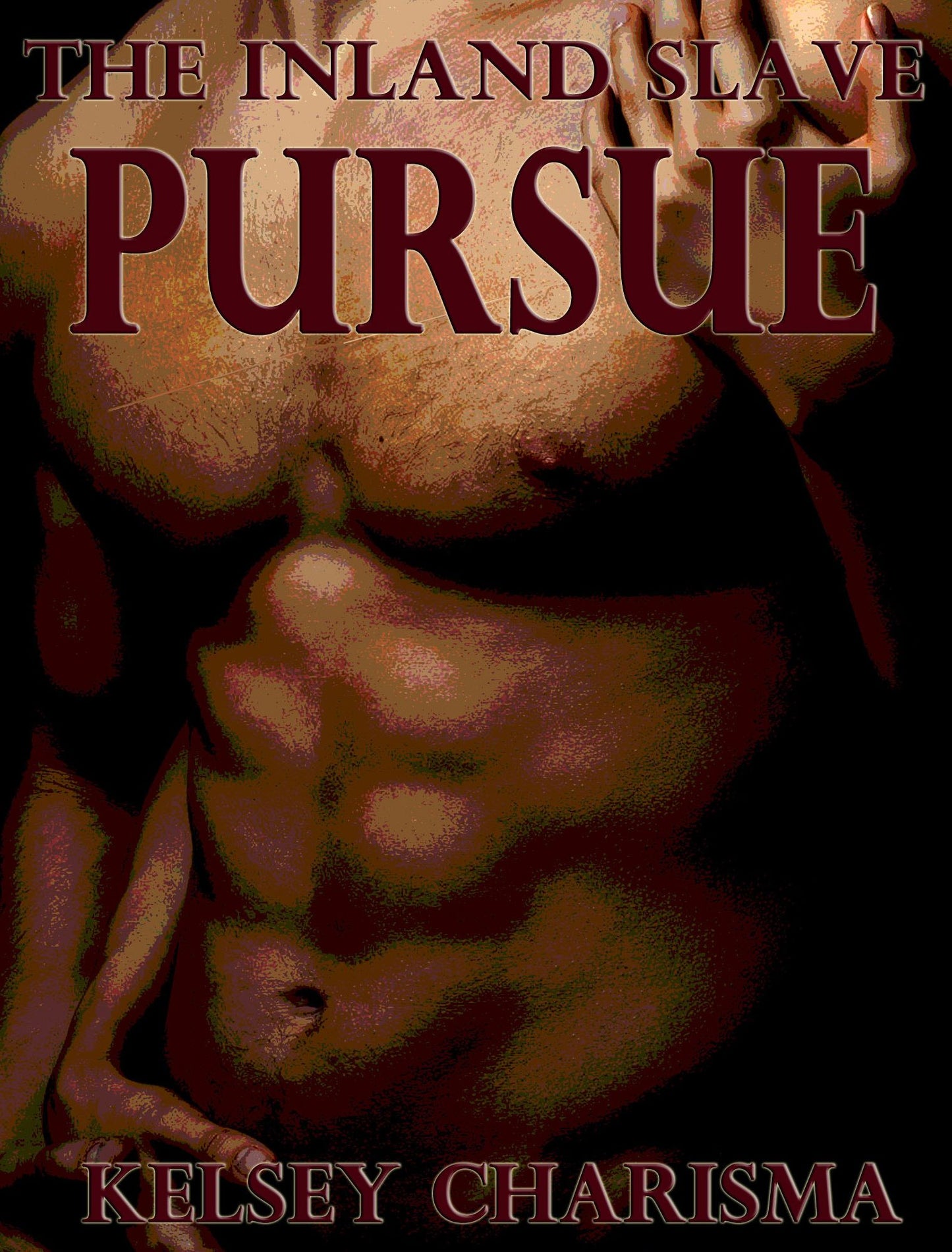 Pursue: The Inland Slave: Book 3