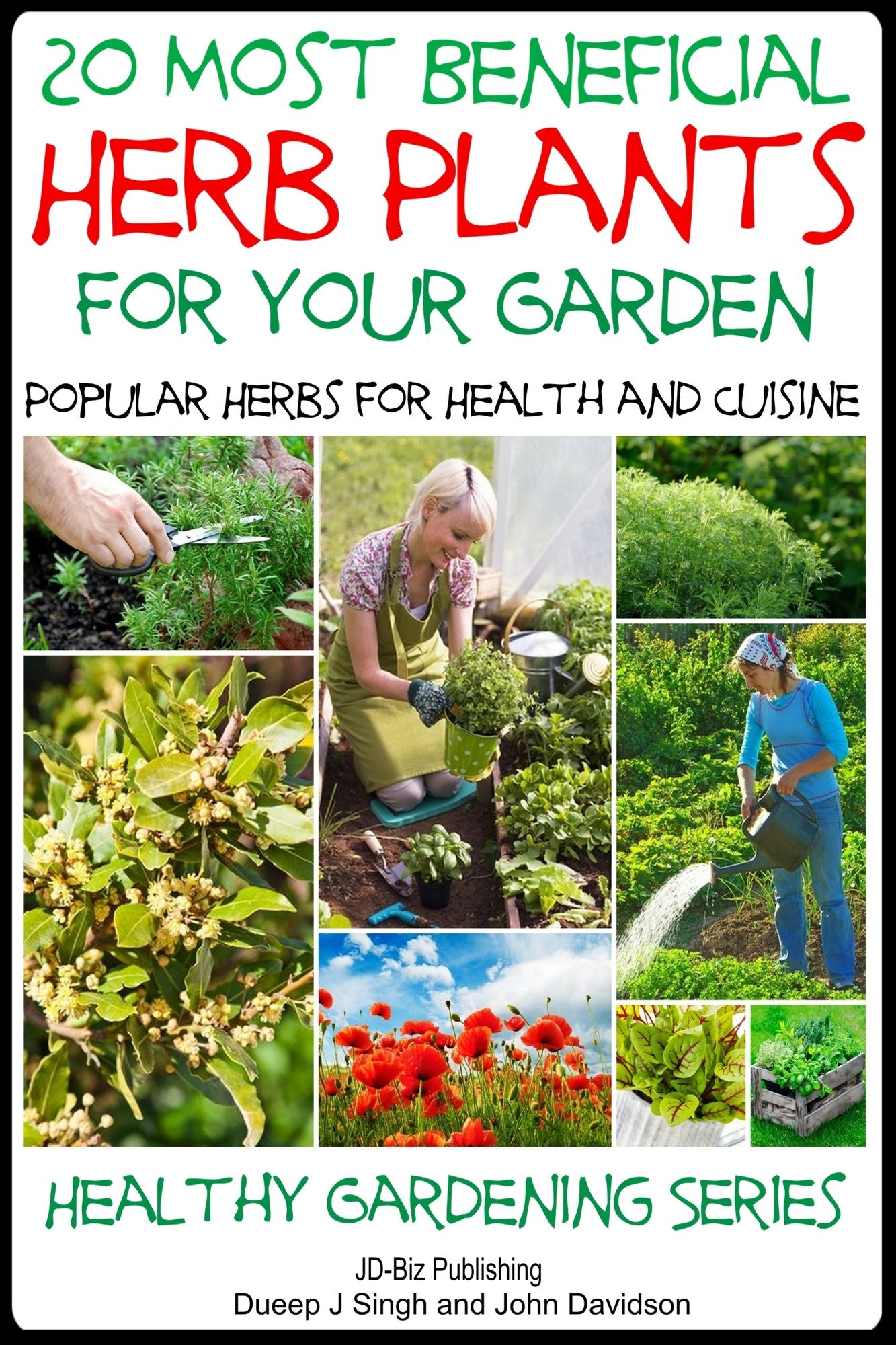 20 Most Beneficial Herb Plants for Your Garden