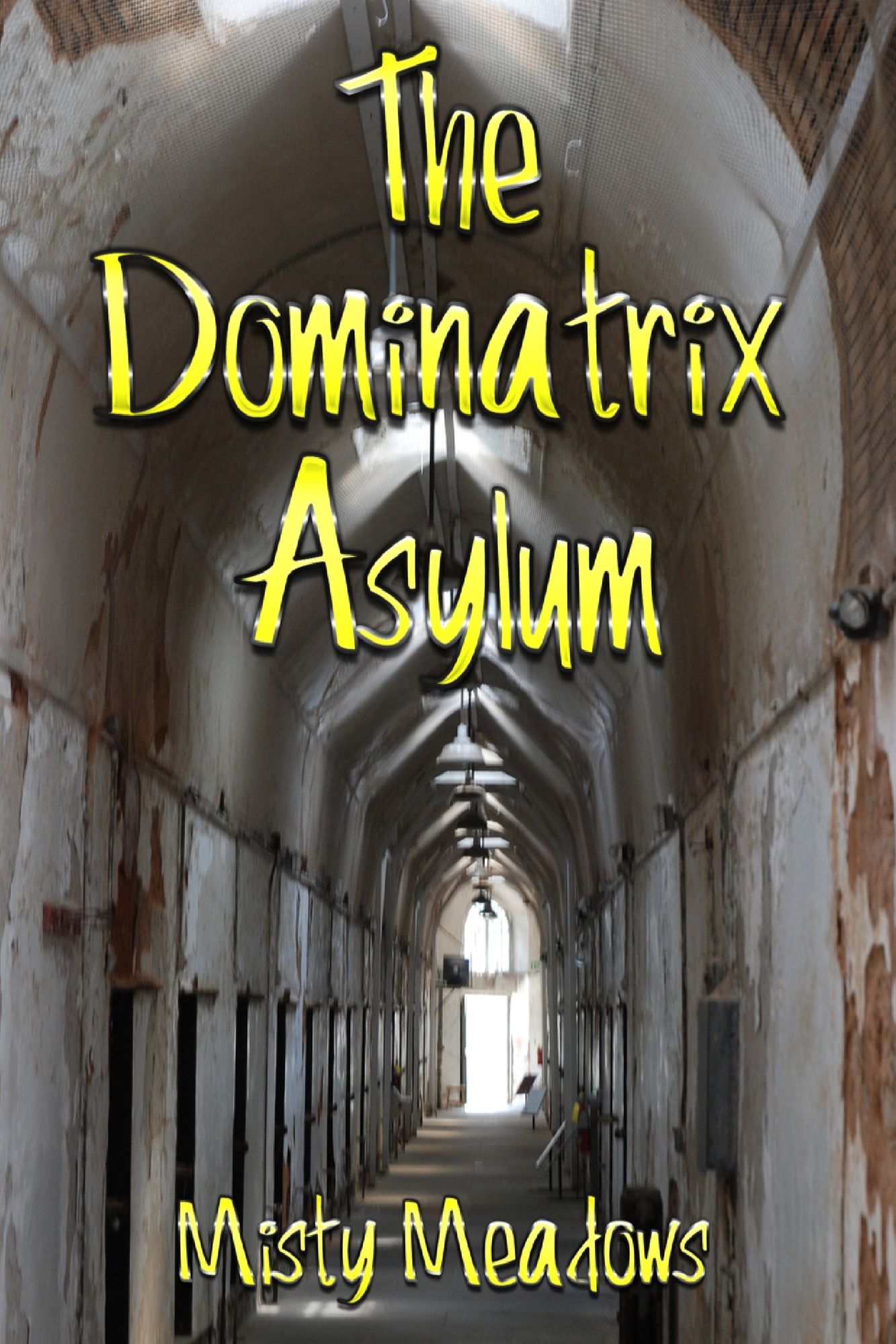 The Dominatrix Asylum (Female Domination, BDSM)