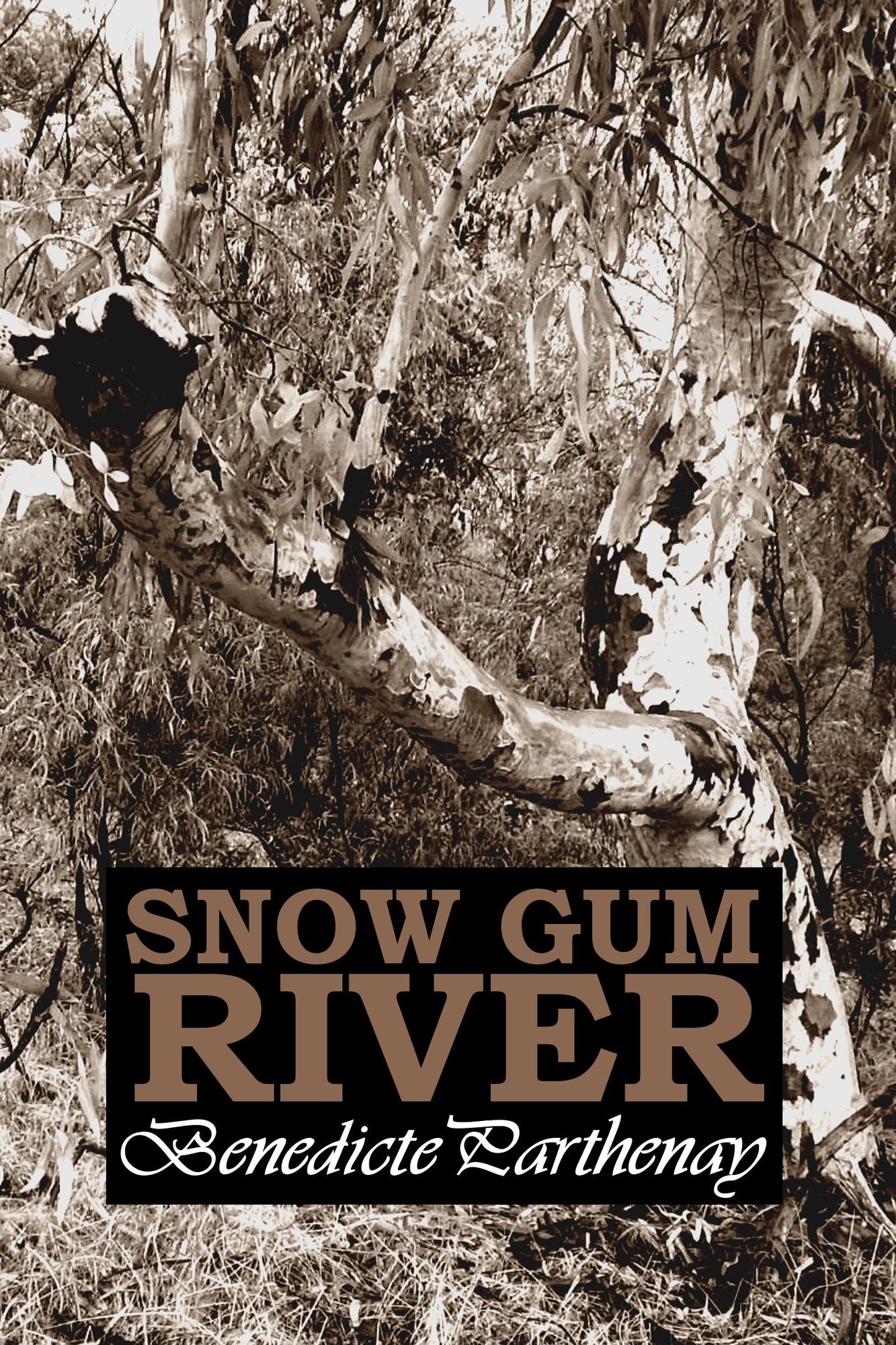 Snow Gum River