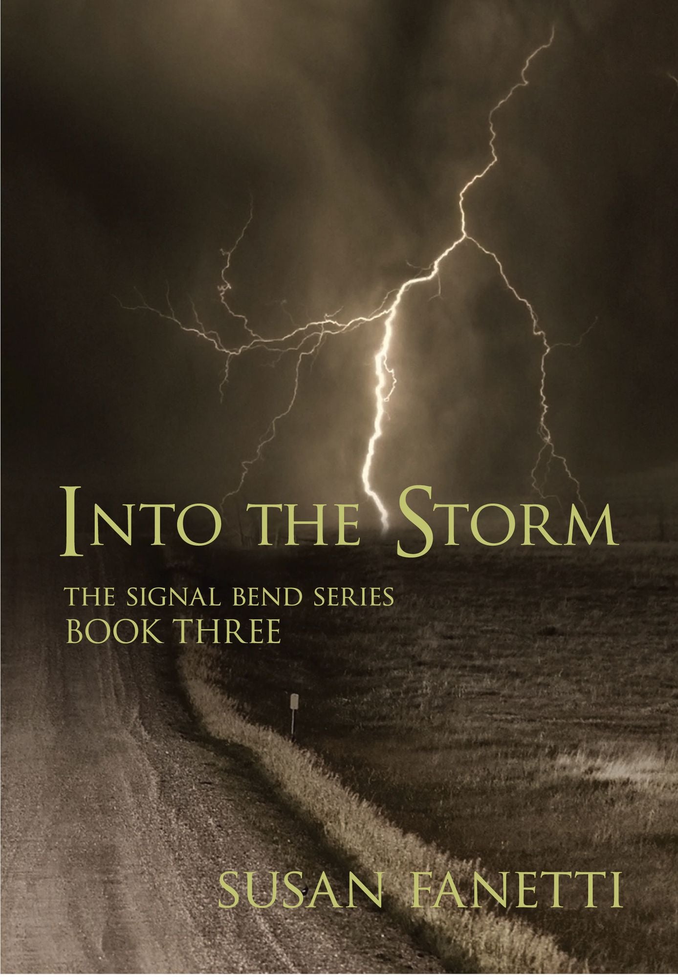 Into the Storm (Signal Bend Series #3)