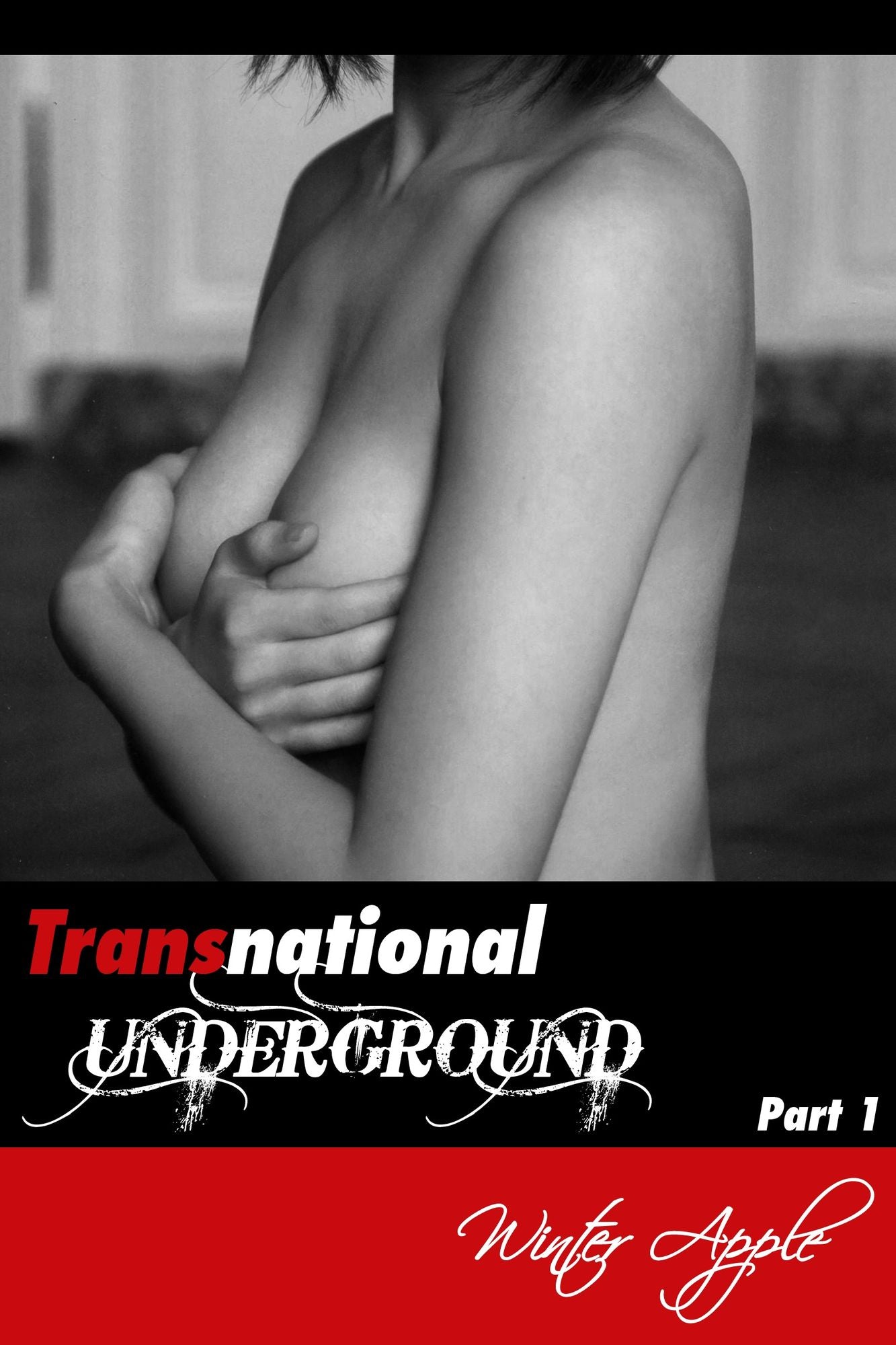 Transnational Underground Part 1