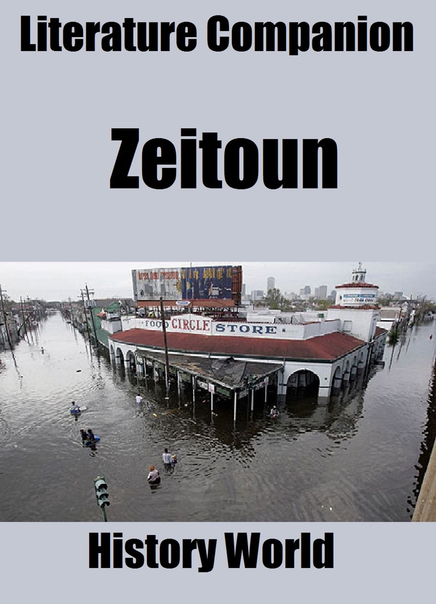 Literature Companion: Zeitoun