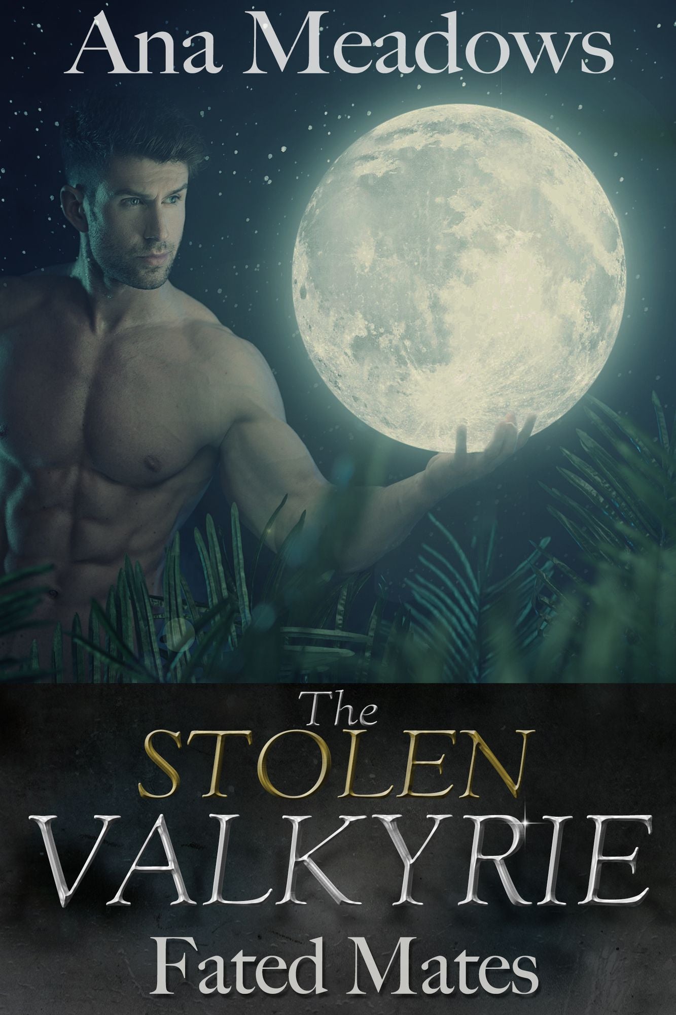 The Stolen Valkyrie: Fated Mates (Part Two) (Fantasy Erotic Romance Novelette)