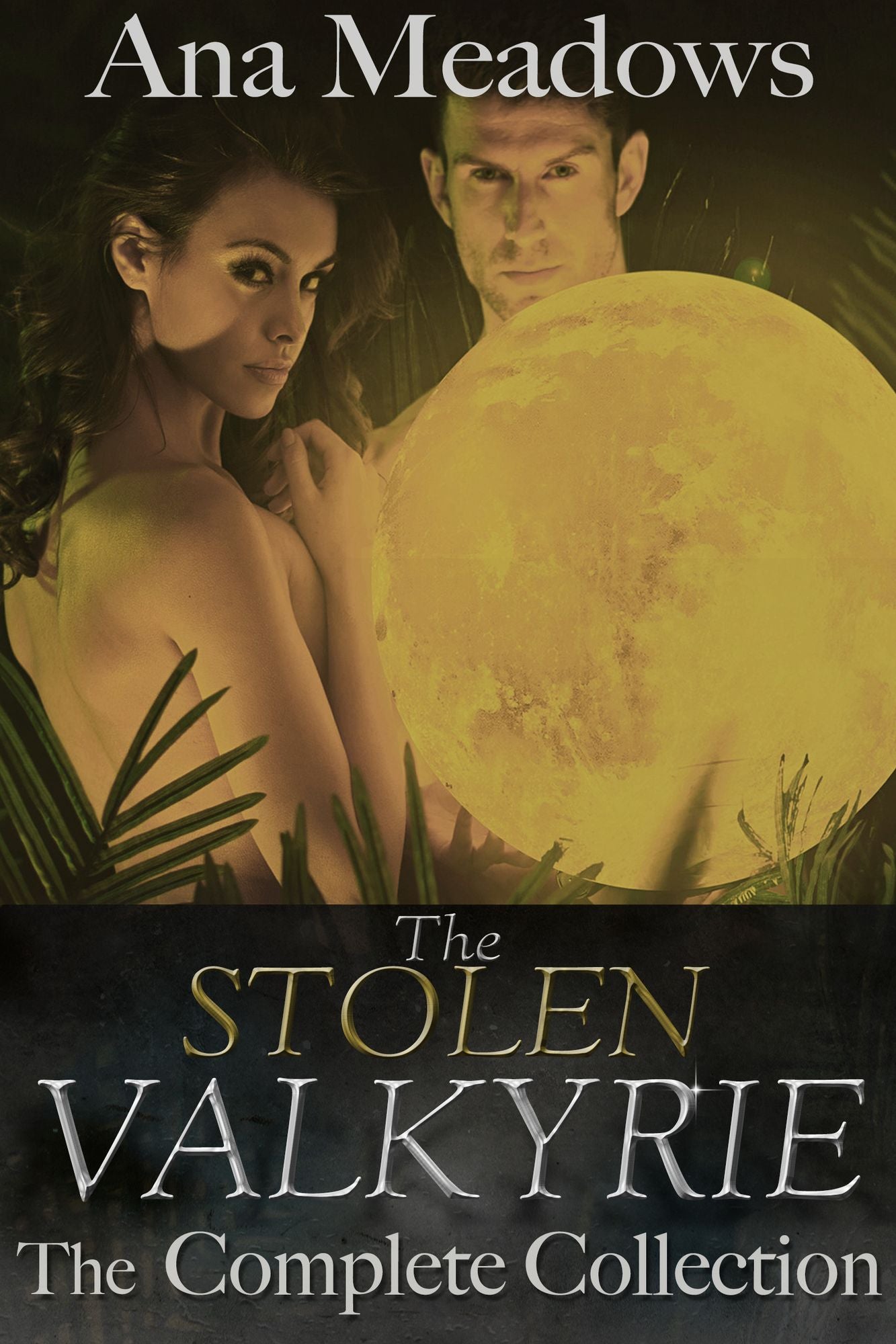The Stolen Valkyrie: The Complete Collection (Fantasy Erotic Romance Novel)