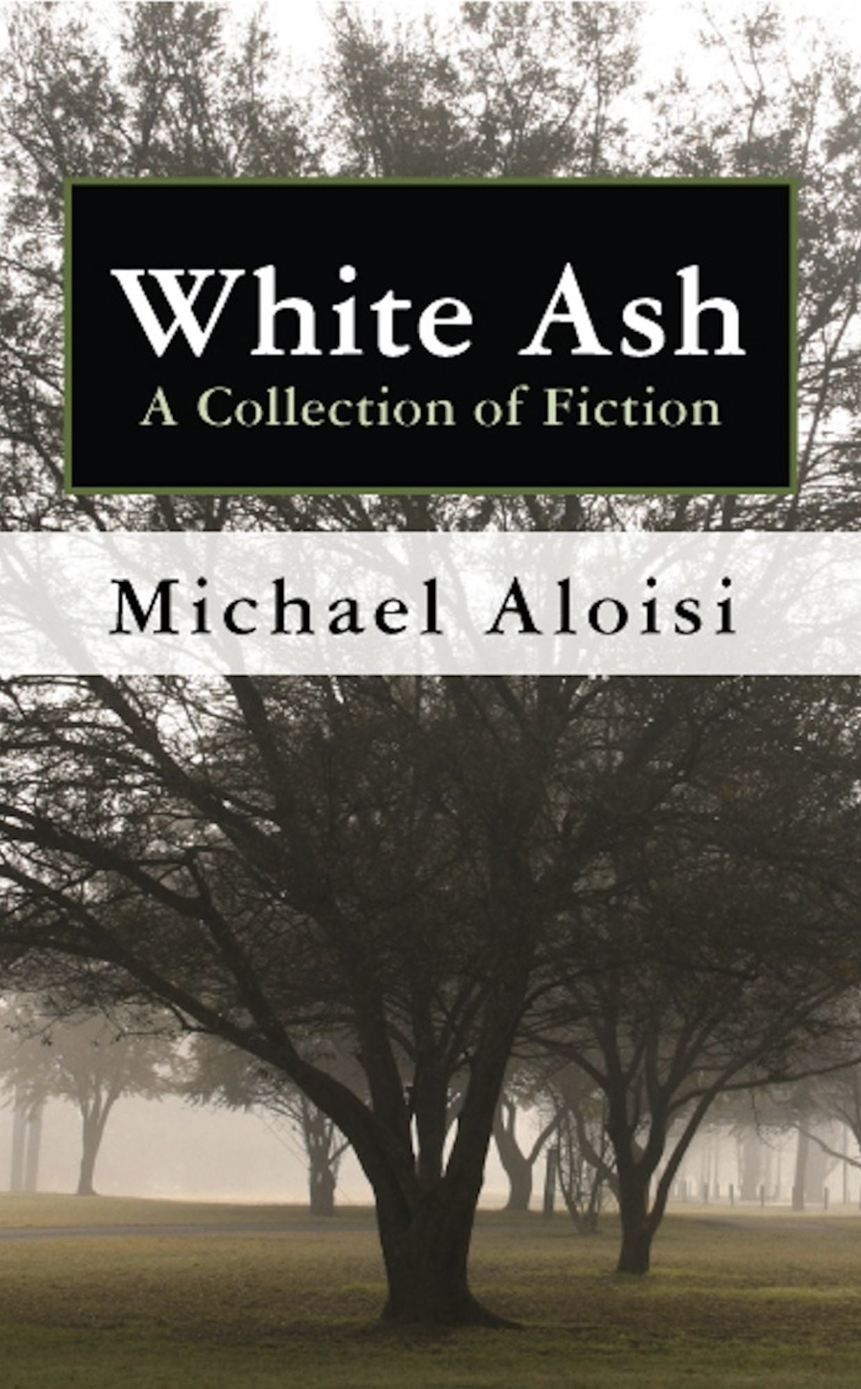 White Ash: A Collection of Fiction