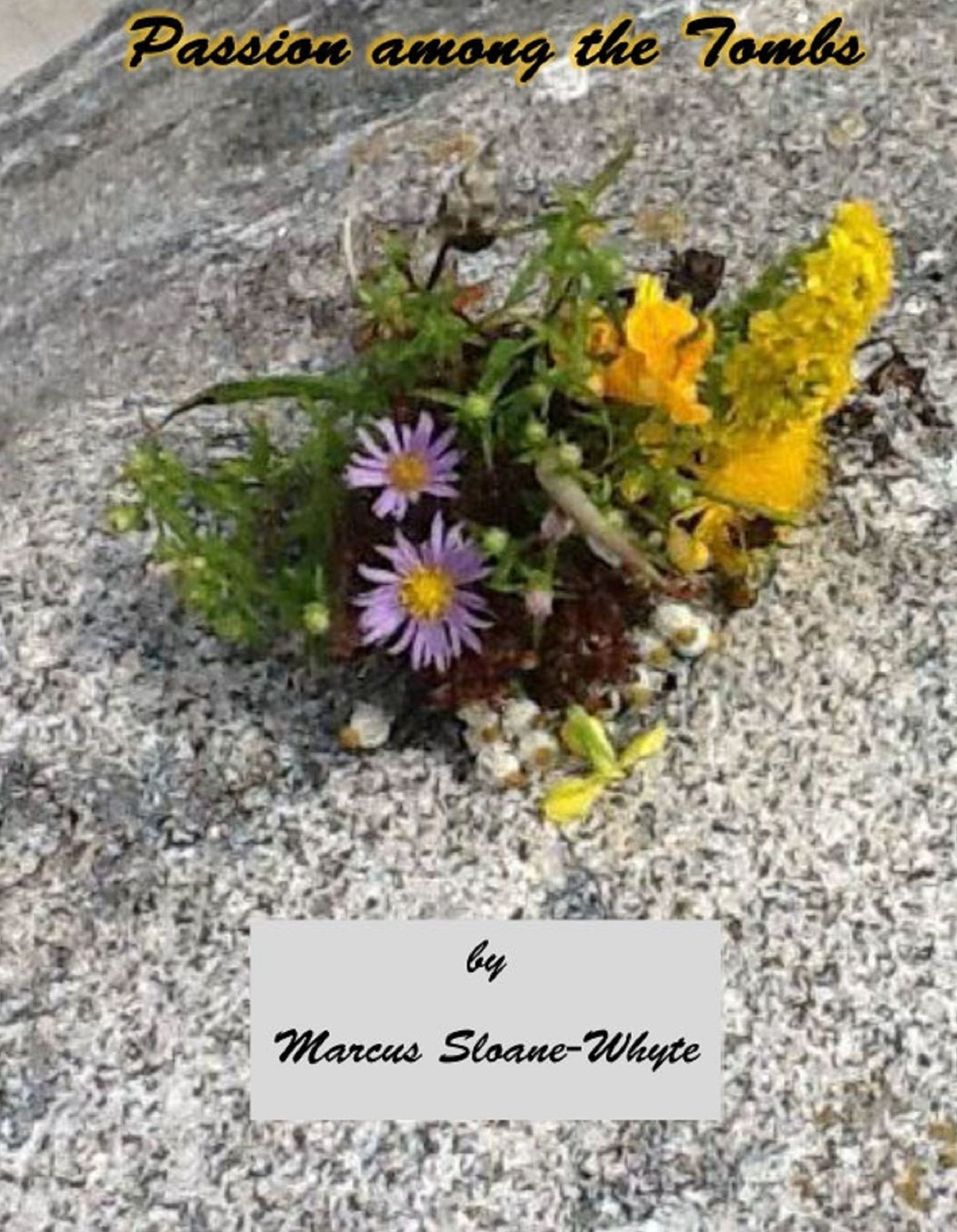 Love Letter: Passion Among the Tombs