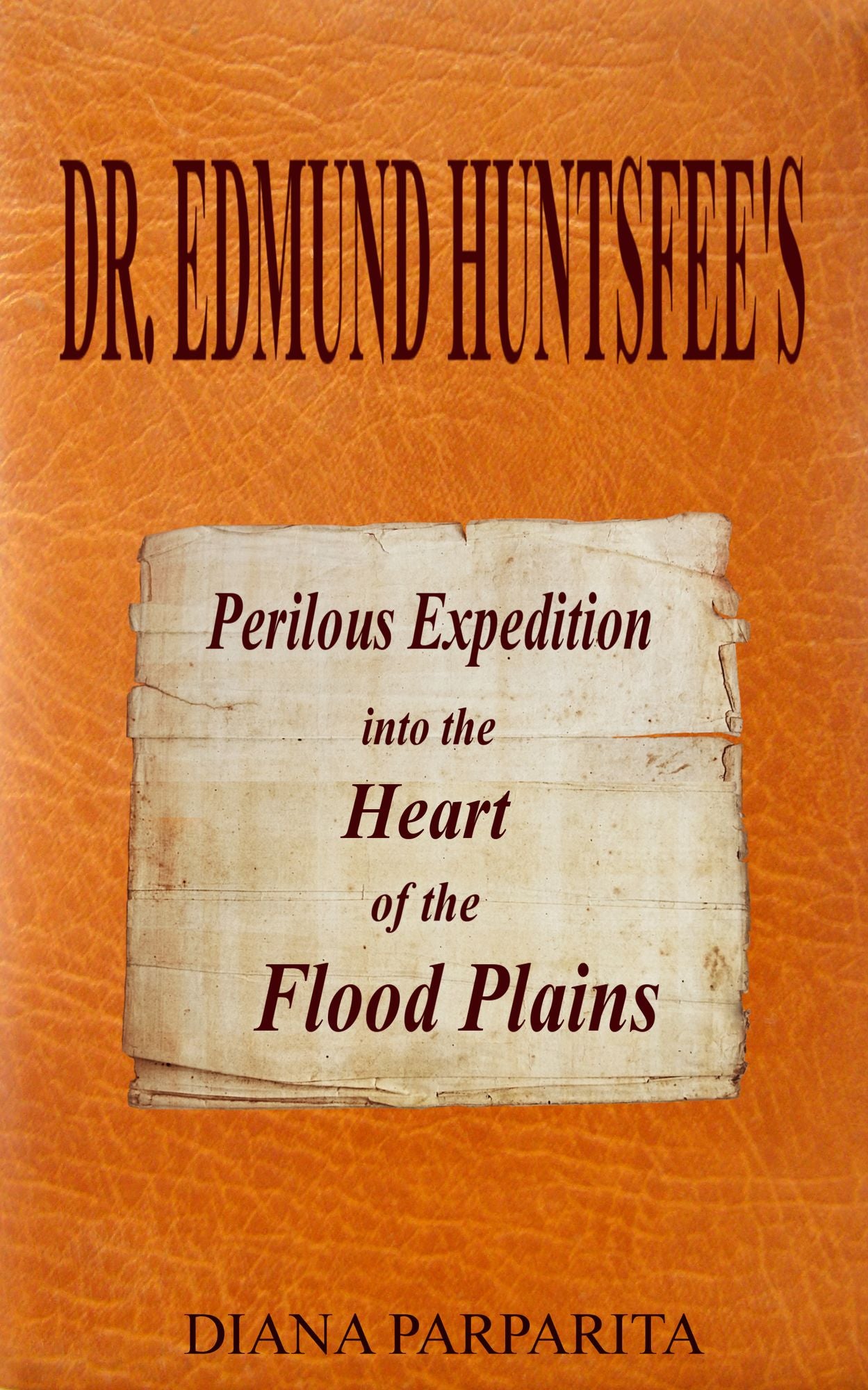Doctor Edmund Huntsfee's Perilous Expedition into the Heart of the Flood Plains