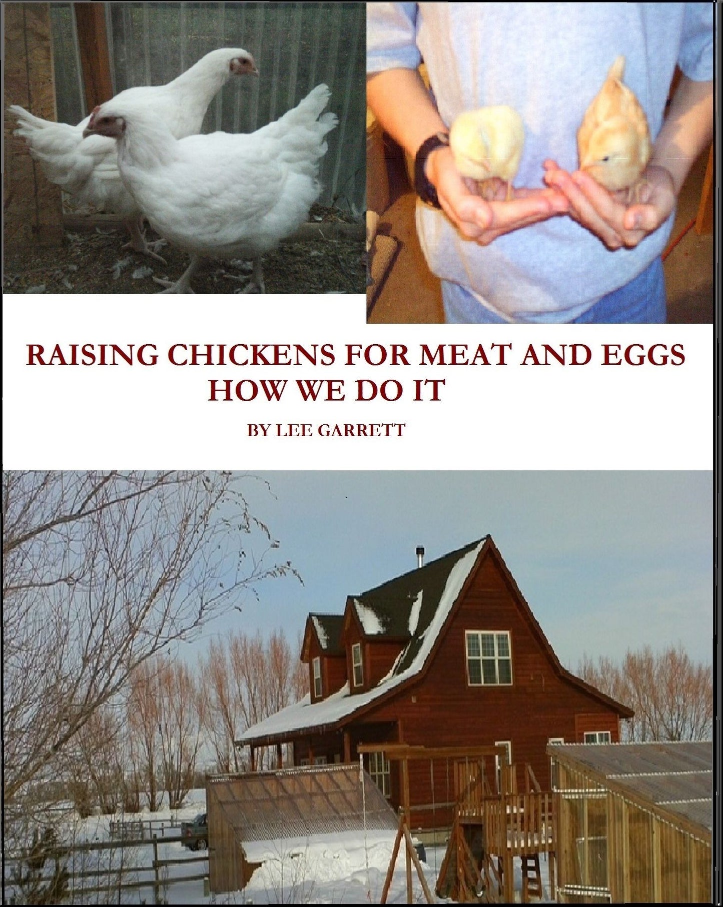 Raising Chickens For Meat and Eggs: How We Do It