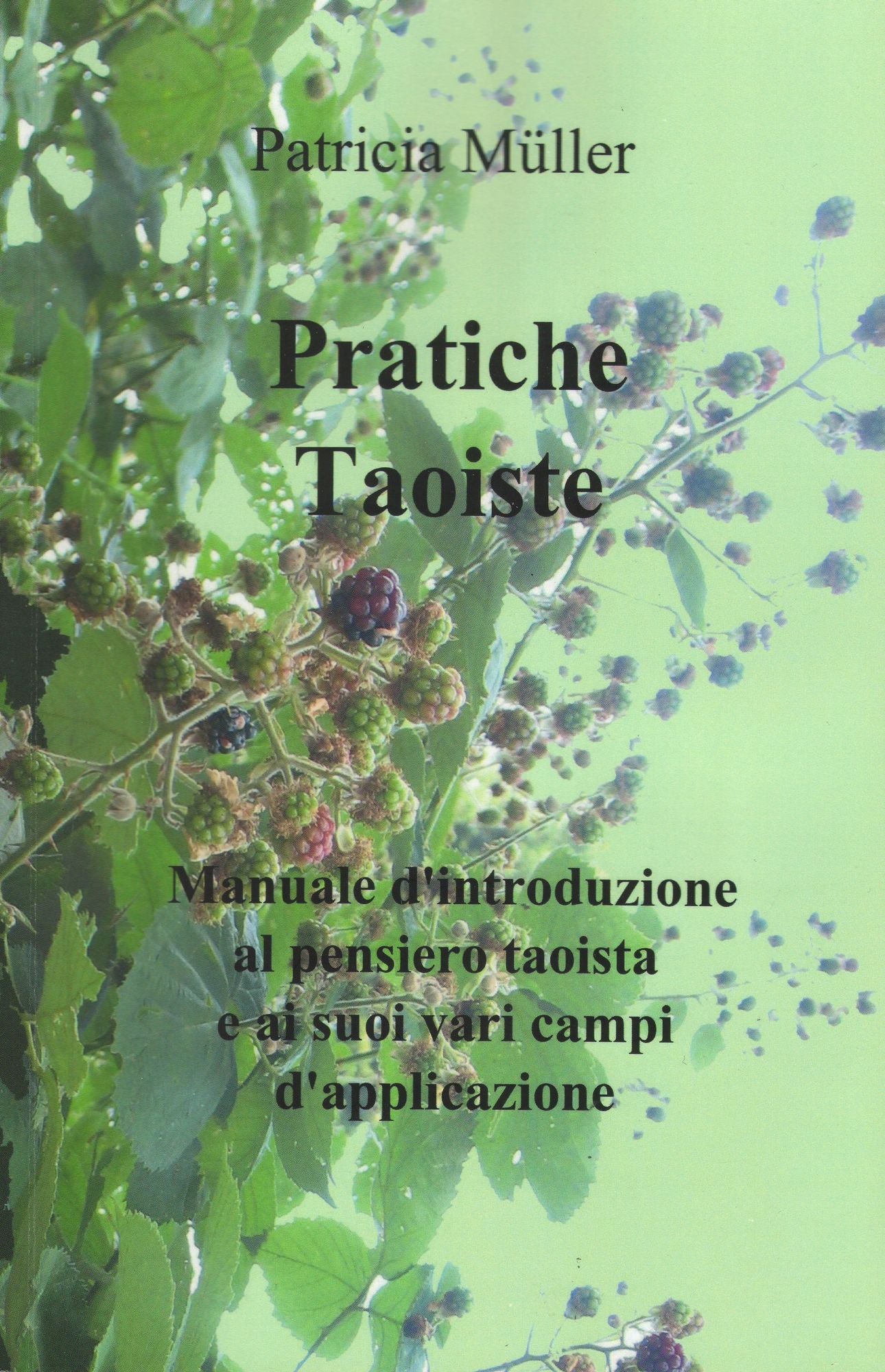 Pratiche Taoiste