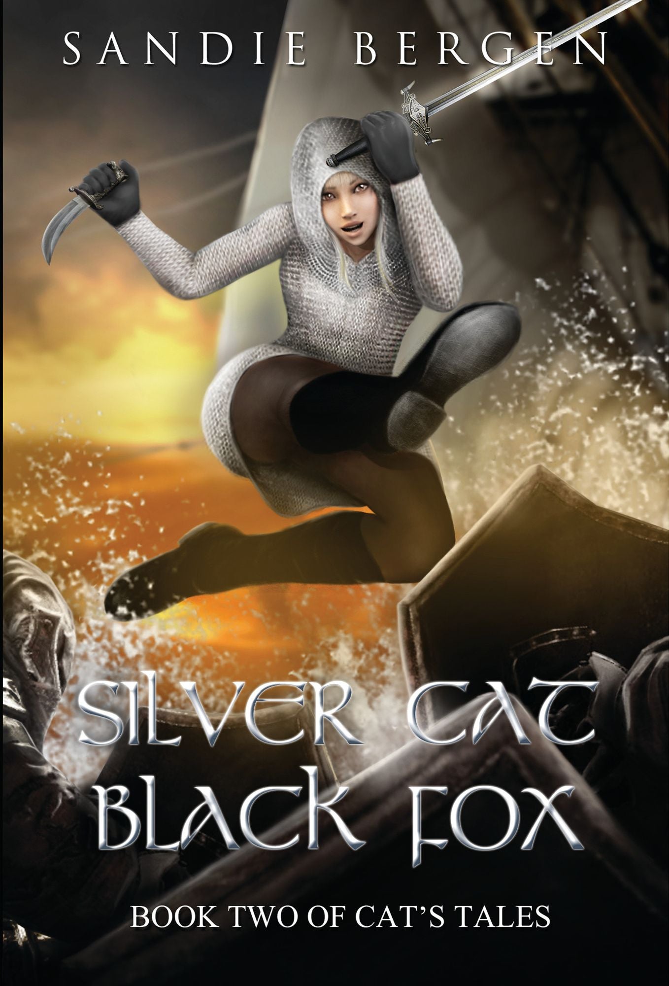 Silver Cat Black Fox